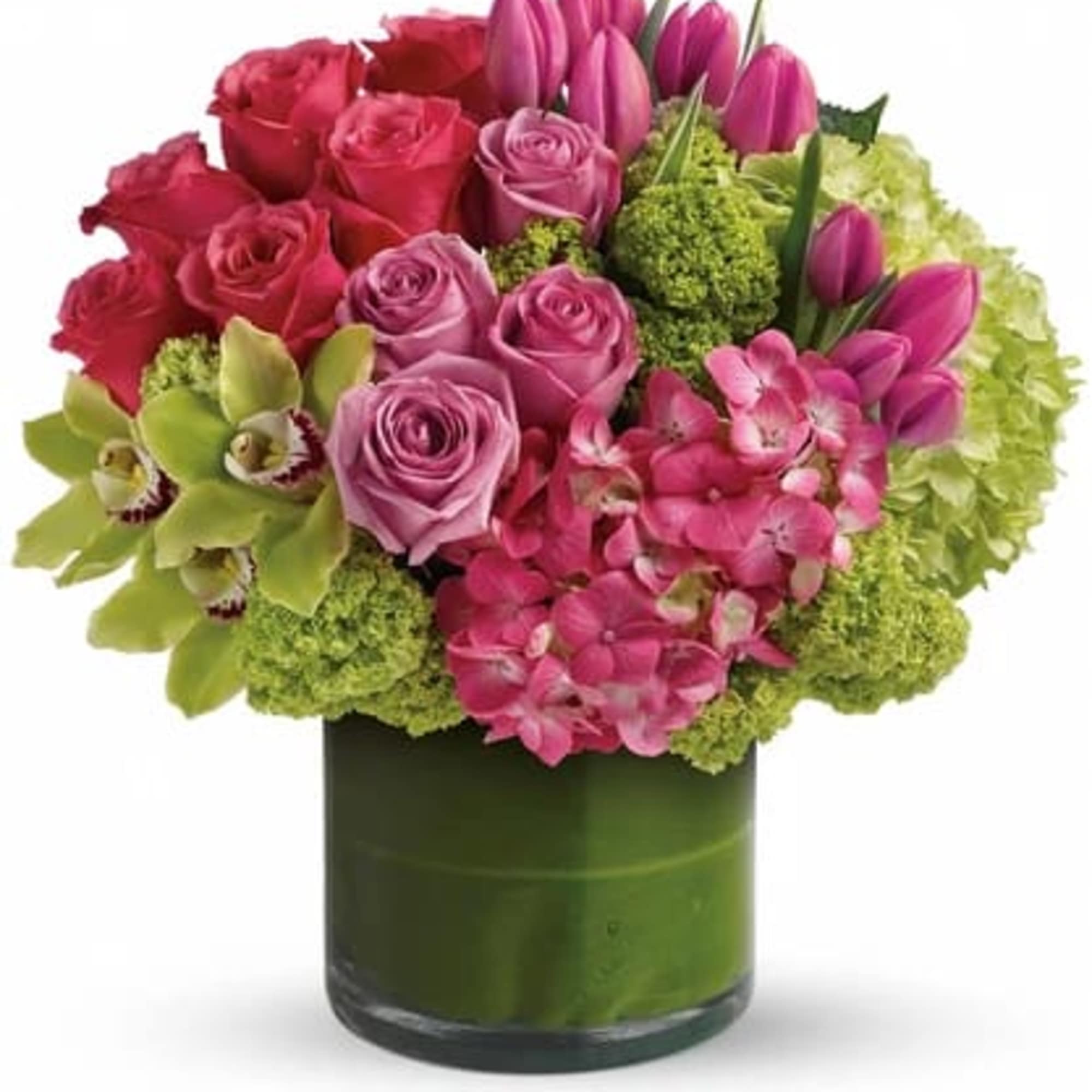 A vibrant burst of color and elegance, New Sensations is designed to A vibrant burst of color and elegance, New Sensations is designed to