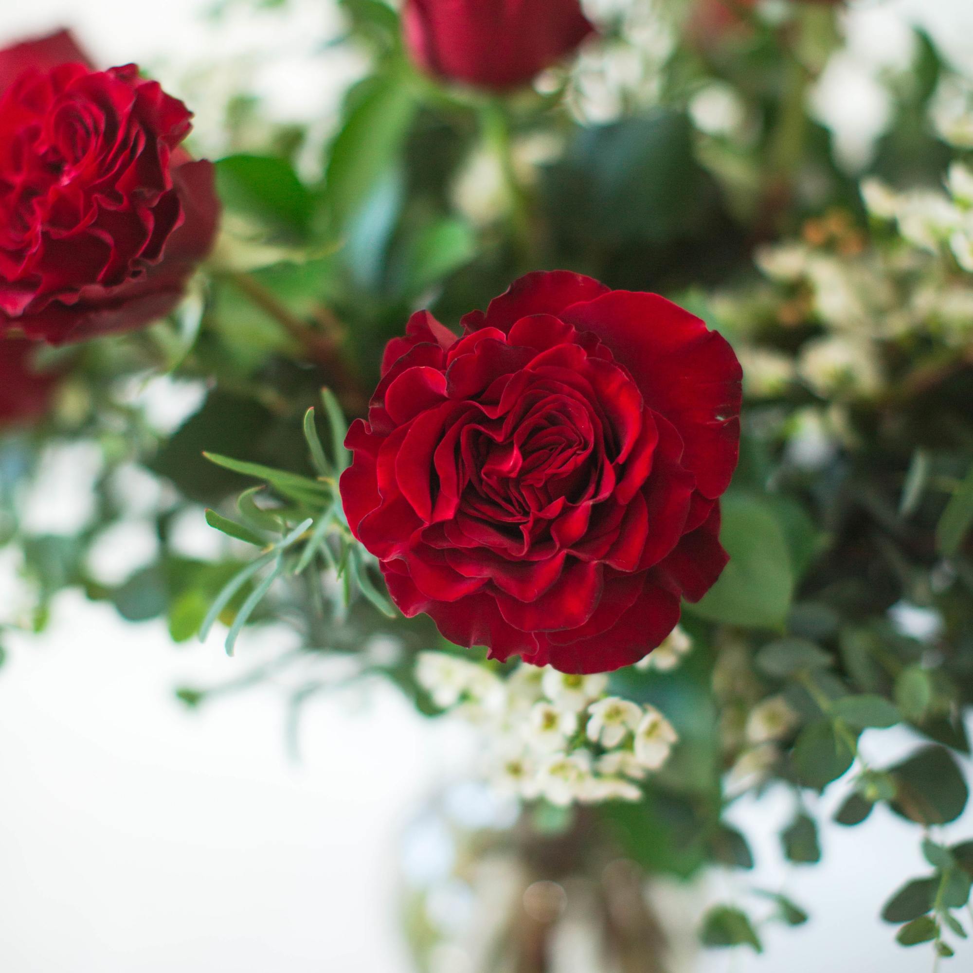 A Studio C Florals signature design - twelve long-stem red roses artfully