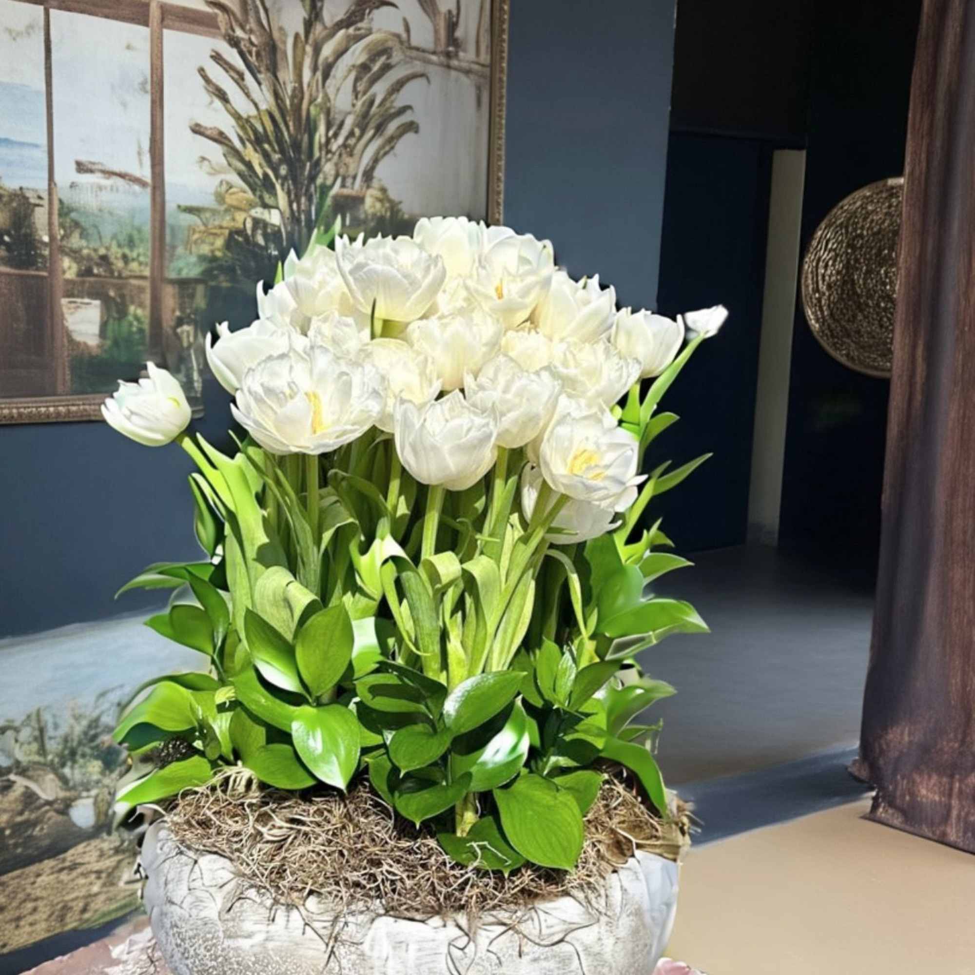 Modern, simple and glamorous!
Delicate white tulips in a cement modern pot.