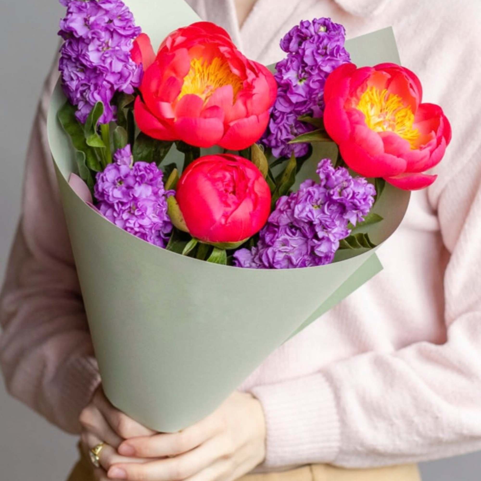 Coral peonies with lilac Stock