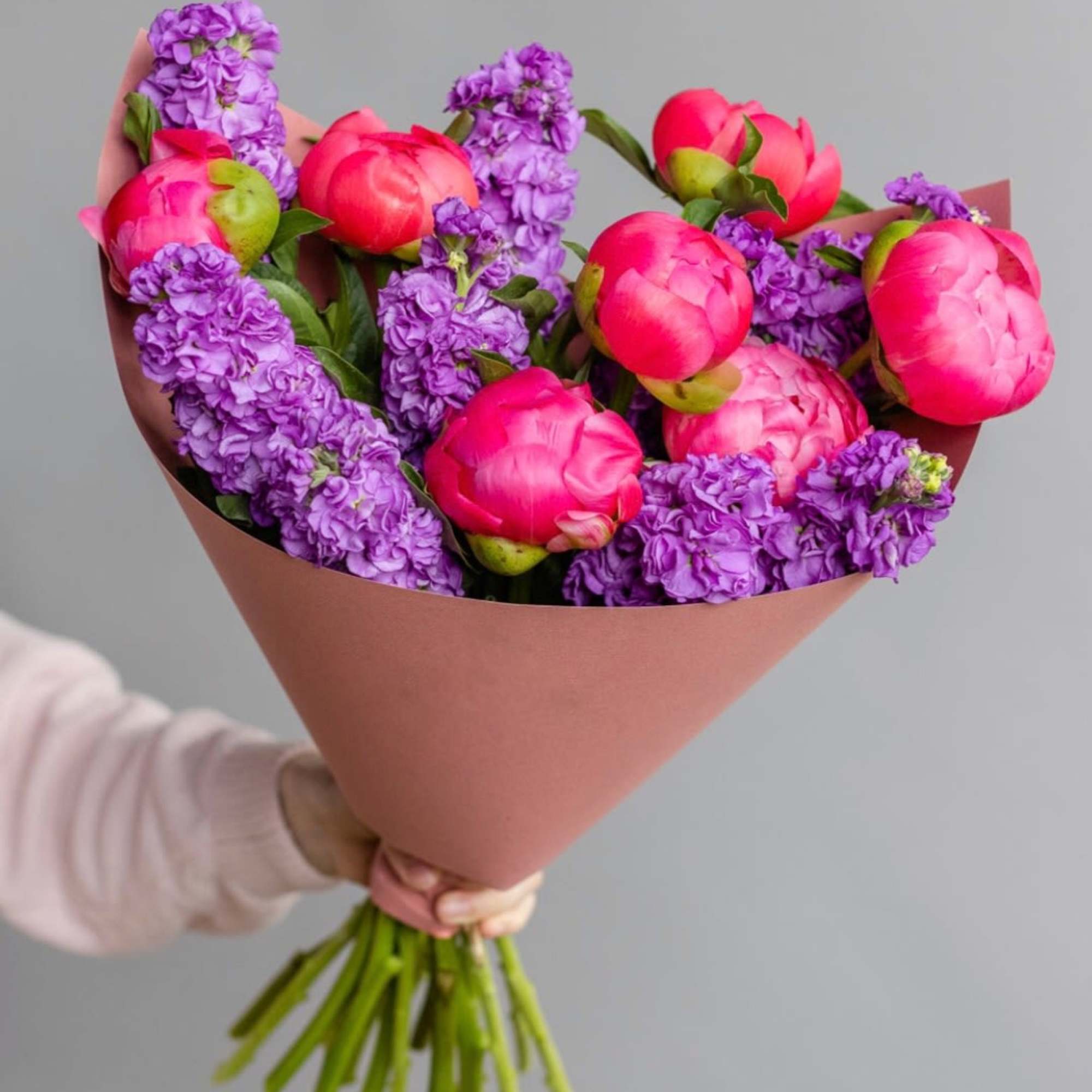 Coral peonies with lilac Stock