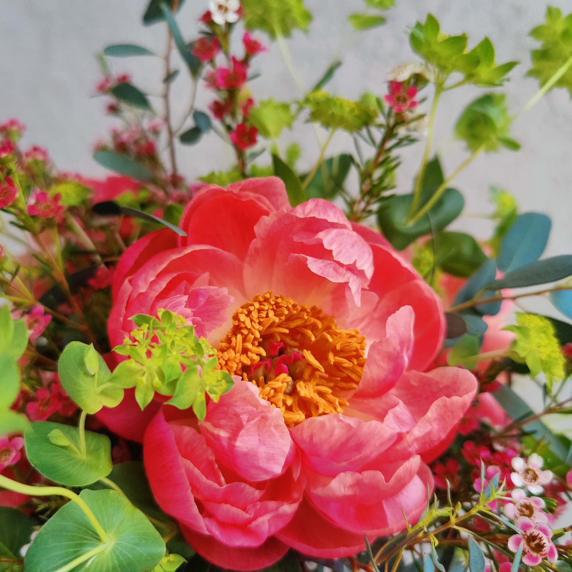 Beautiful seasonal peonies accented with fragant wax flowers and a variety of