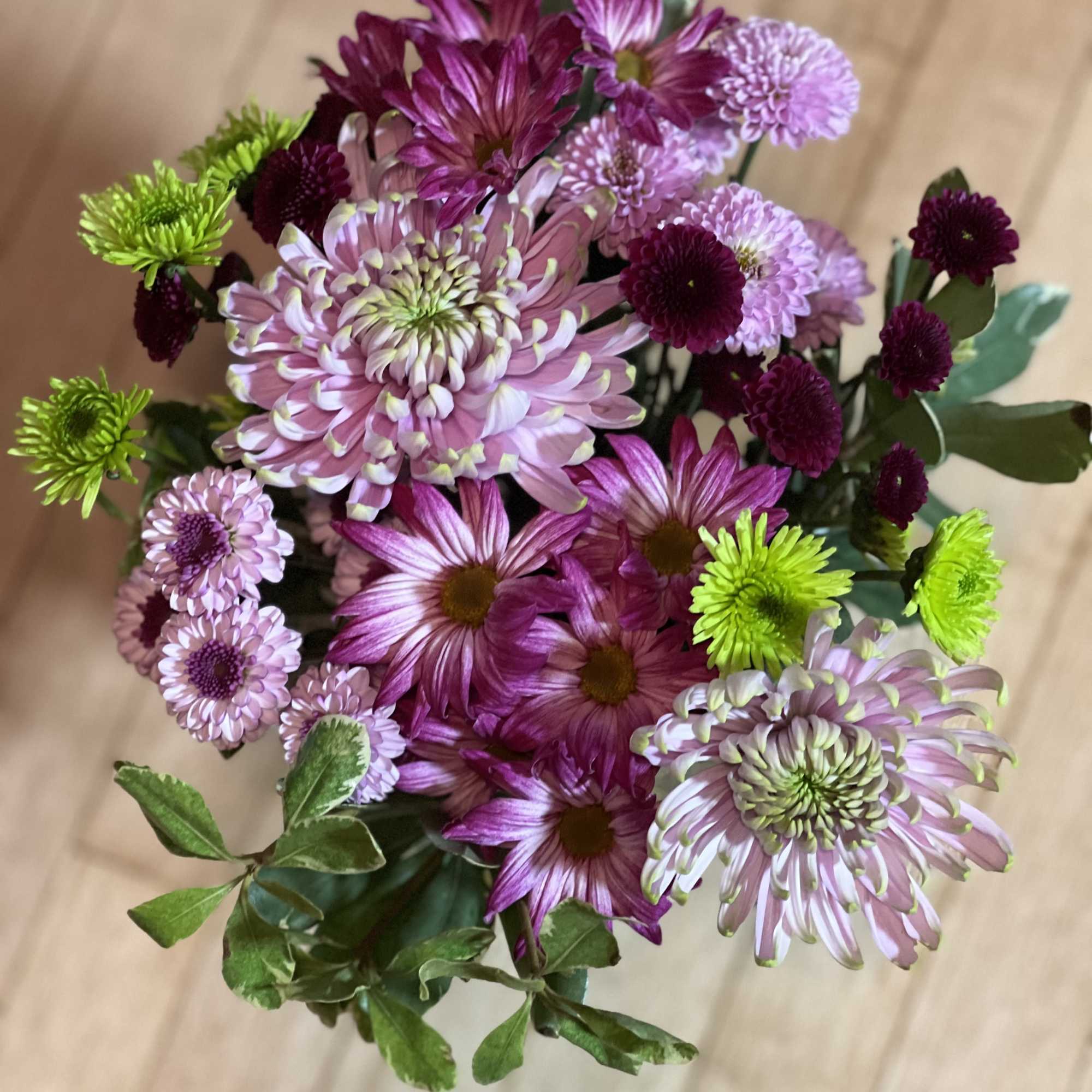 Bouquet of pink and purple chrysanthemums with bright green accents