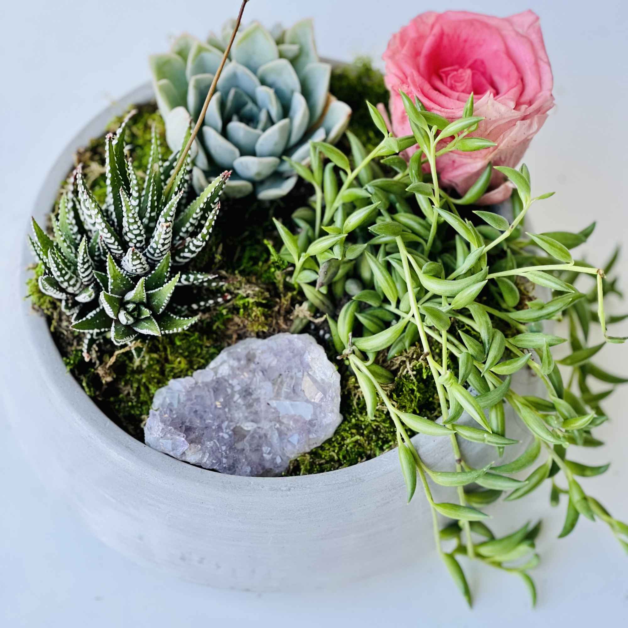 Bring a touch of modern elegance and natural beauty into your home