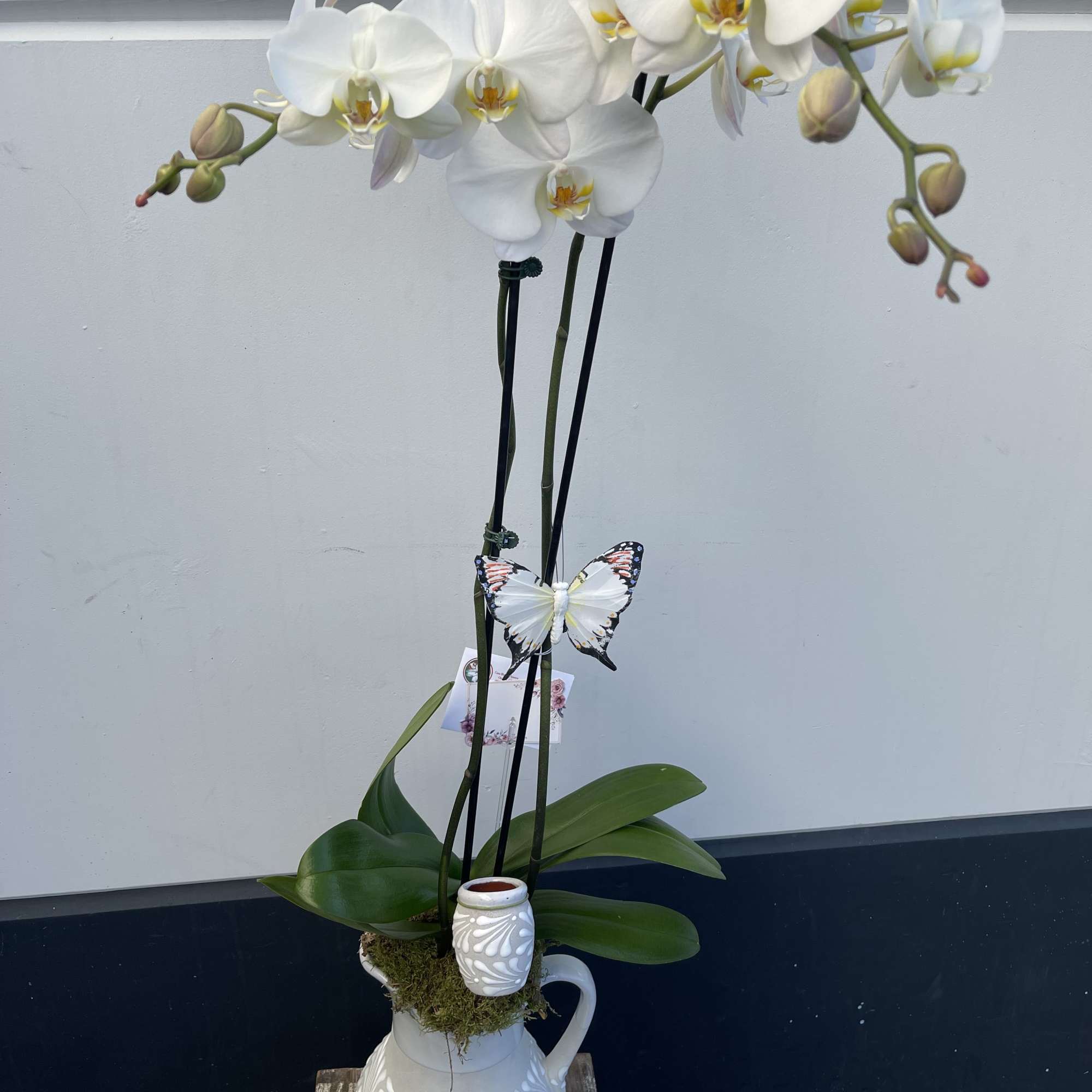 Mexican Jar with mini cup 