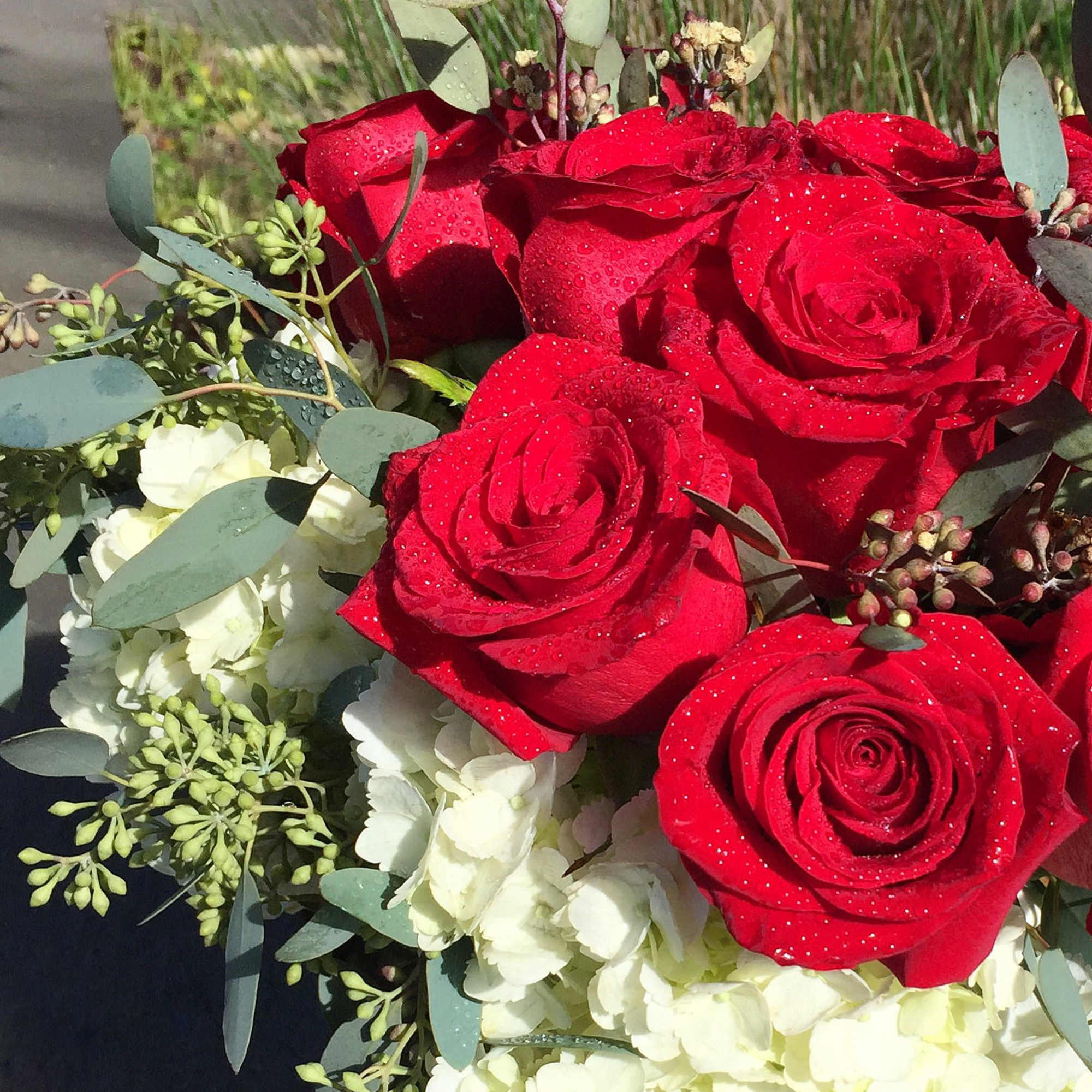 A dozen lush red roses and white hydrangeas designed with fine greenery