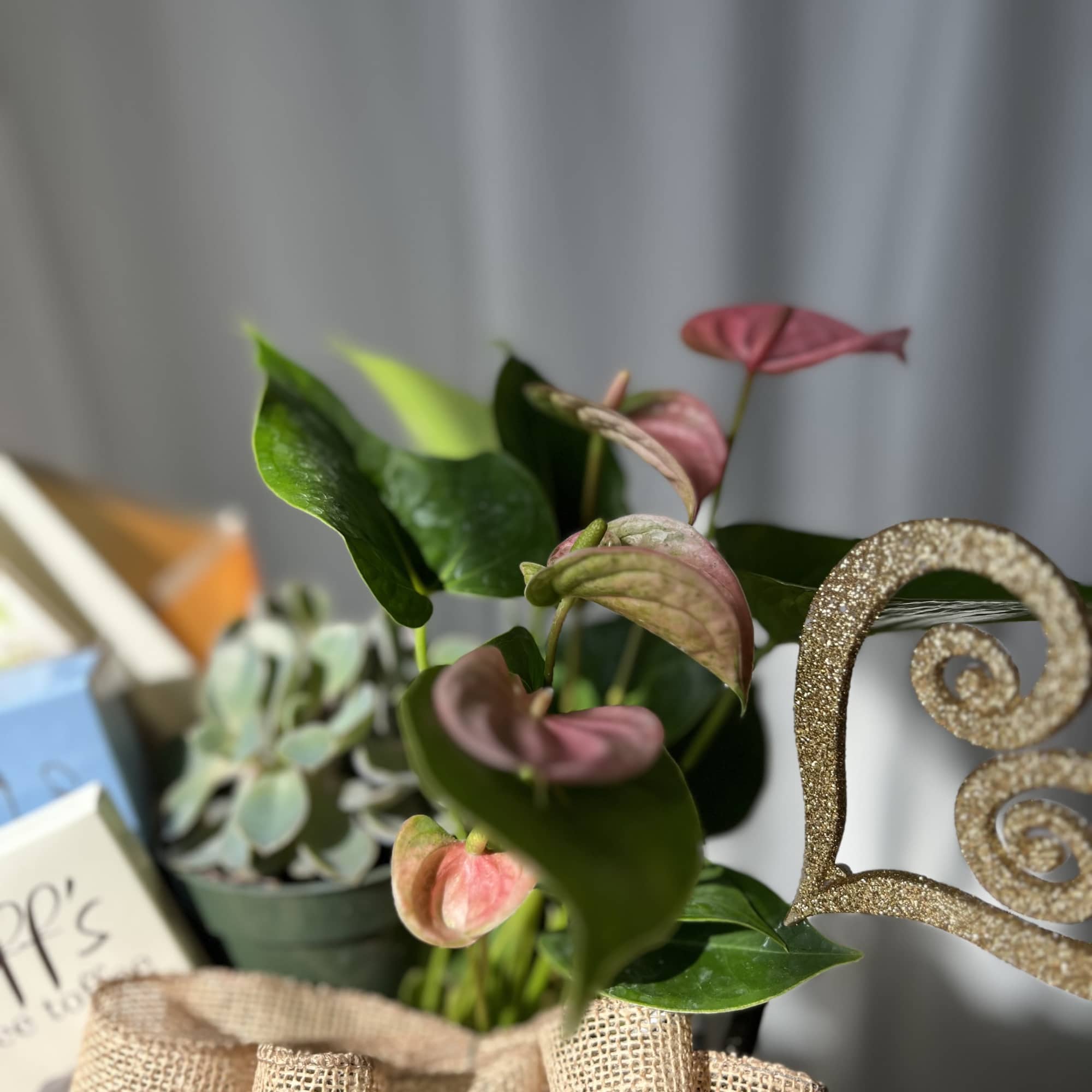 Celebrate the autumn season with this adorable gift baset. This basket includes