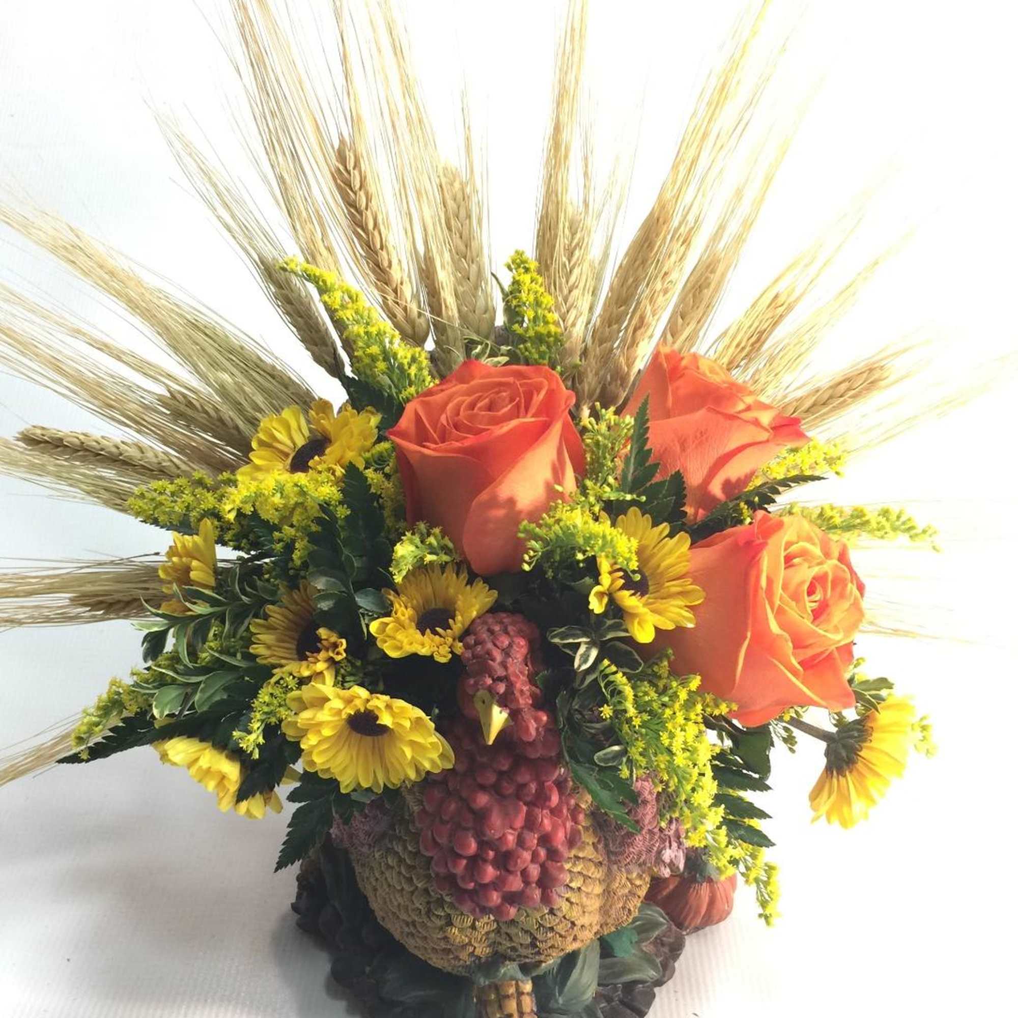 GOBBLE GOBBLE TOM IS ALL DRESSED AND READY TO GO TO MAKE