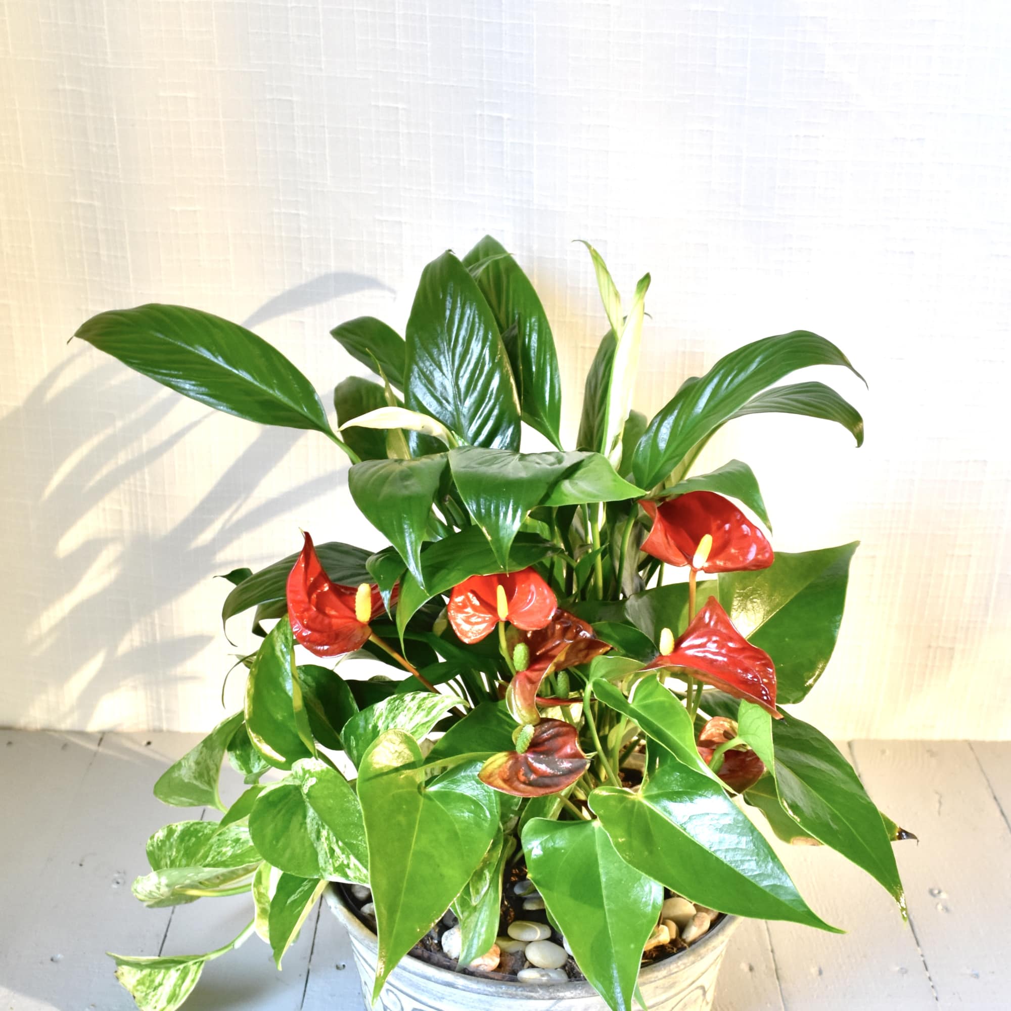 The Old Durham Garden standard is a metal planter that features three