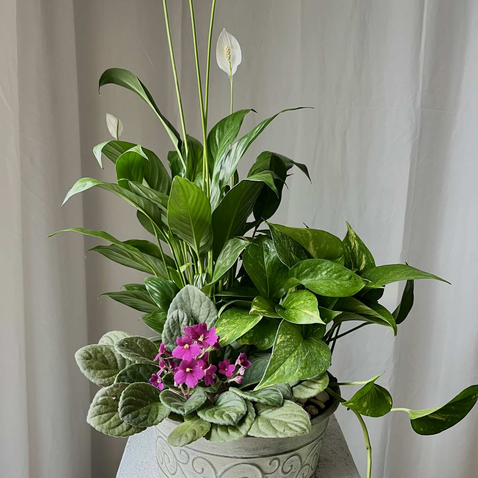 The Old Durham Garden standard is a metal planter that features three