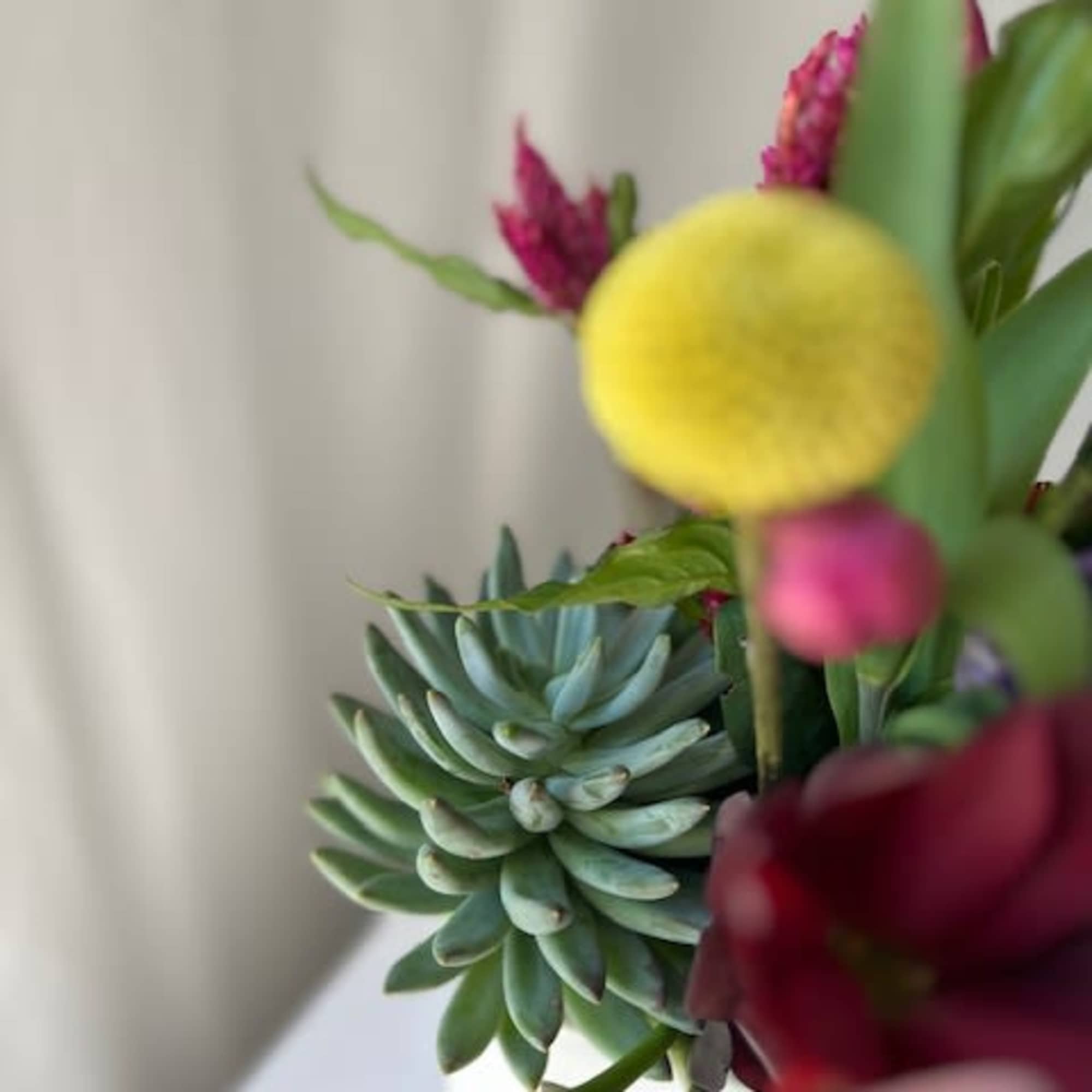 This arrangement is perfect for a plant and flower lover combined! We