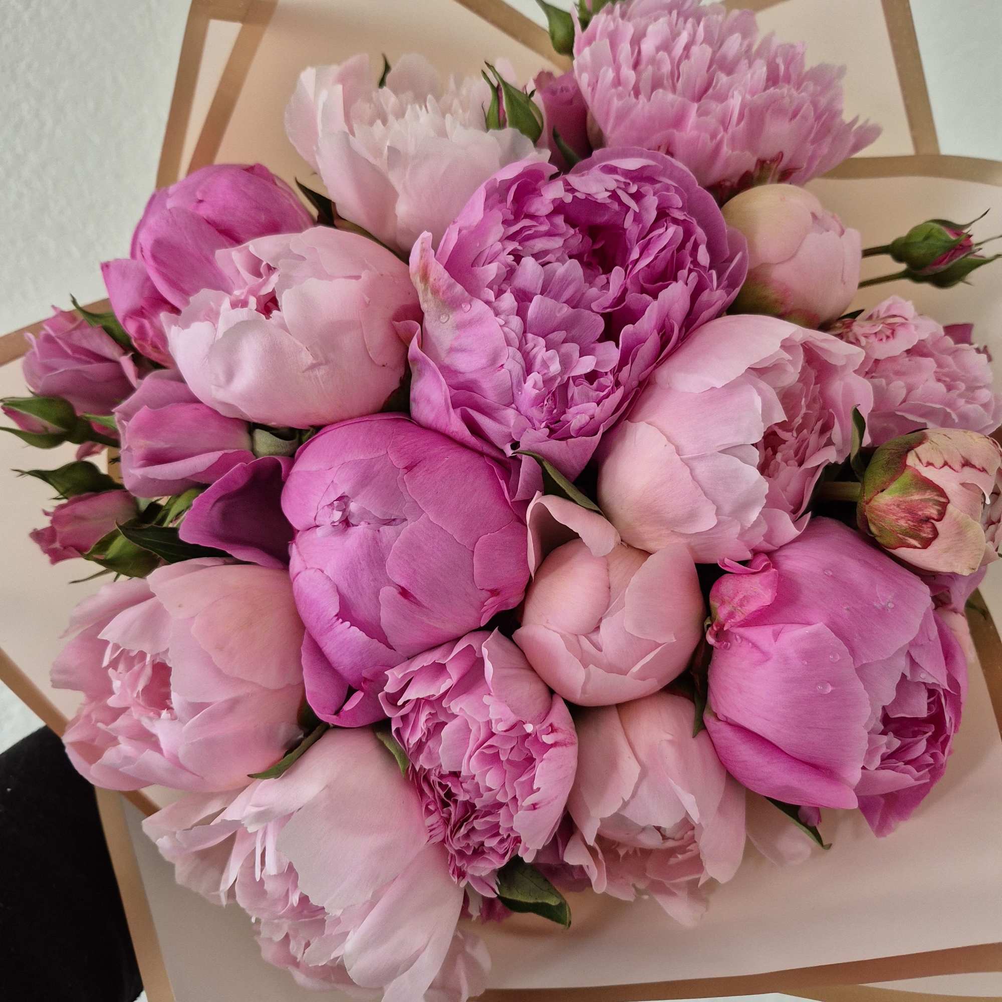 Peonies are everyone&#039;s favorite. It&#039;s perfect for all occasions, and the stunning