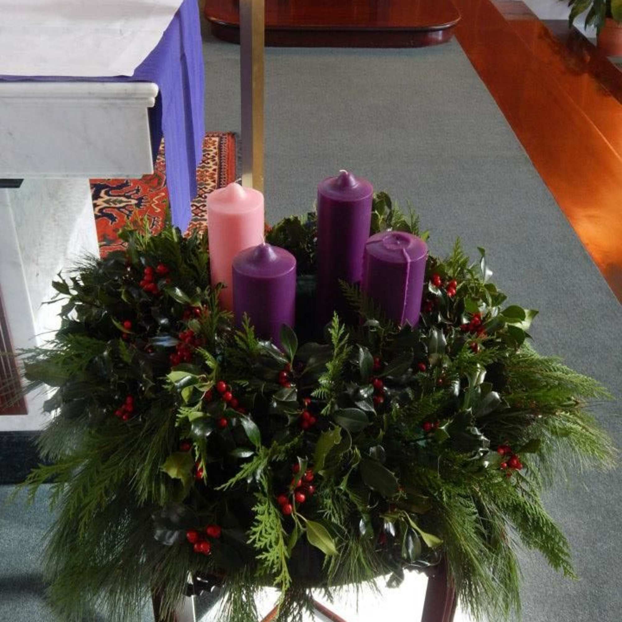 Advent is a season of preparation. With Holly and Cedar in abundance