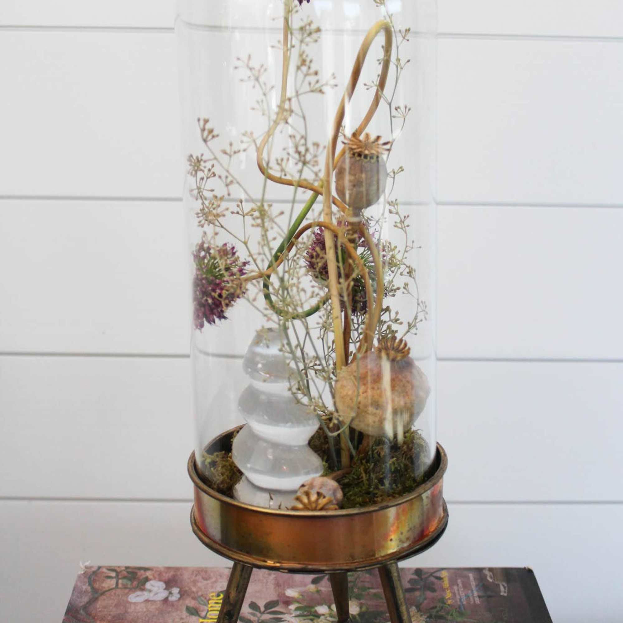 This little world stands alone in it's simple beauty and unique display. This little world stands alone in it's simple beauty and unique display.