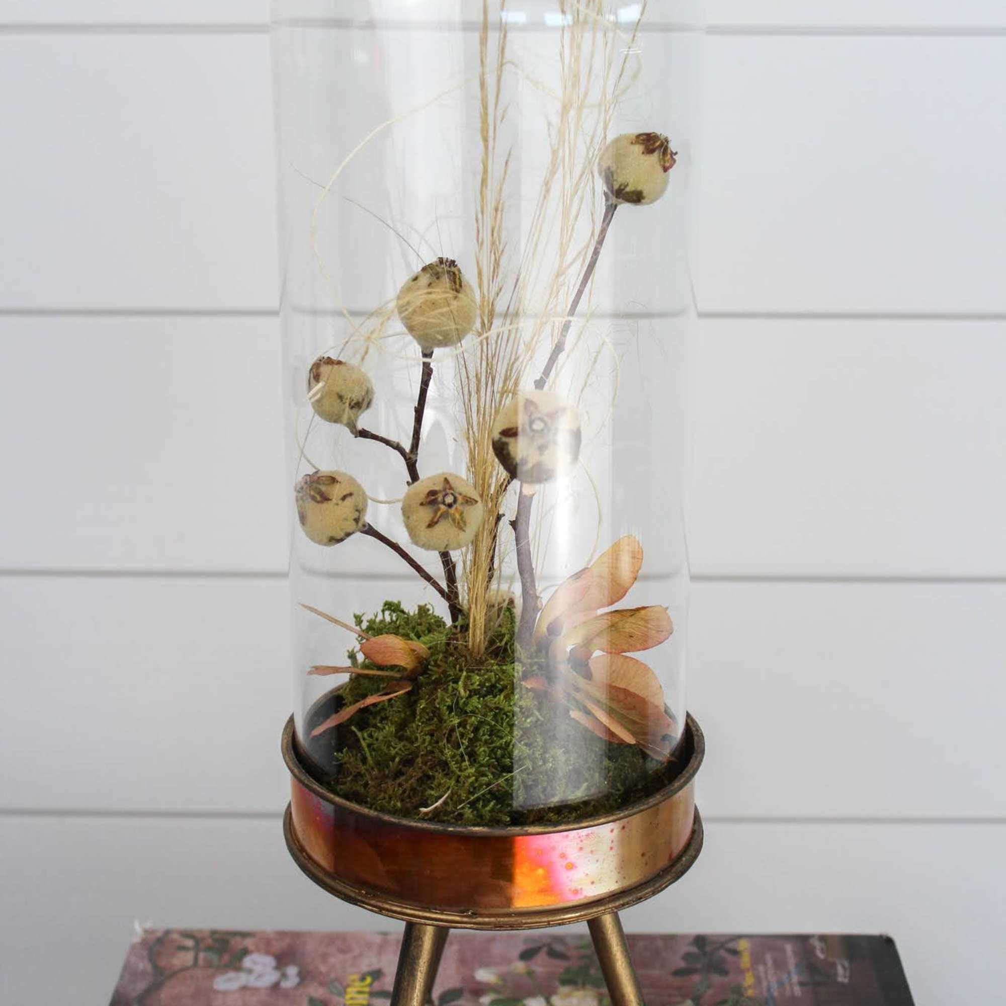 This little world stands alone in it's simple beauty and unique display. This little world stands alone in it's simple beauty and unique display.