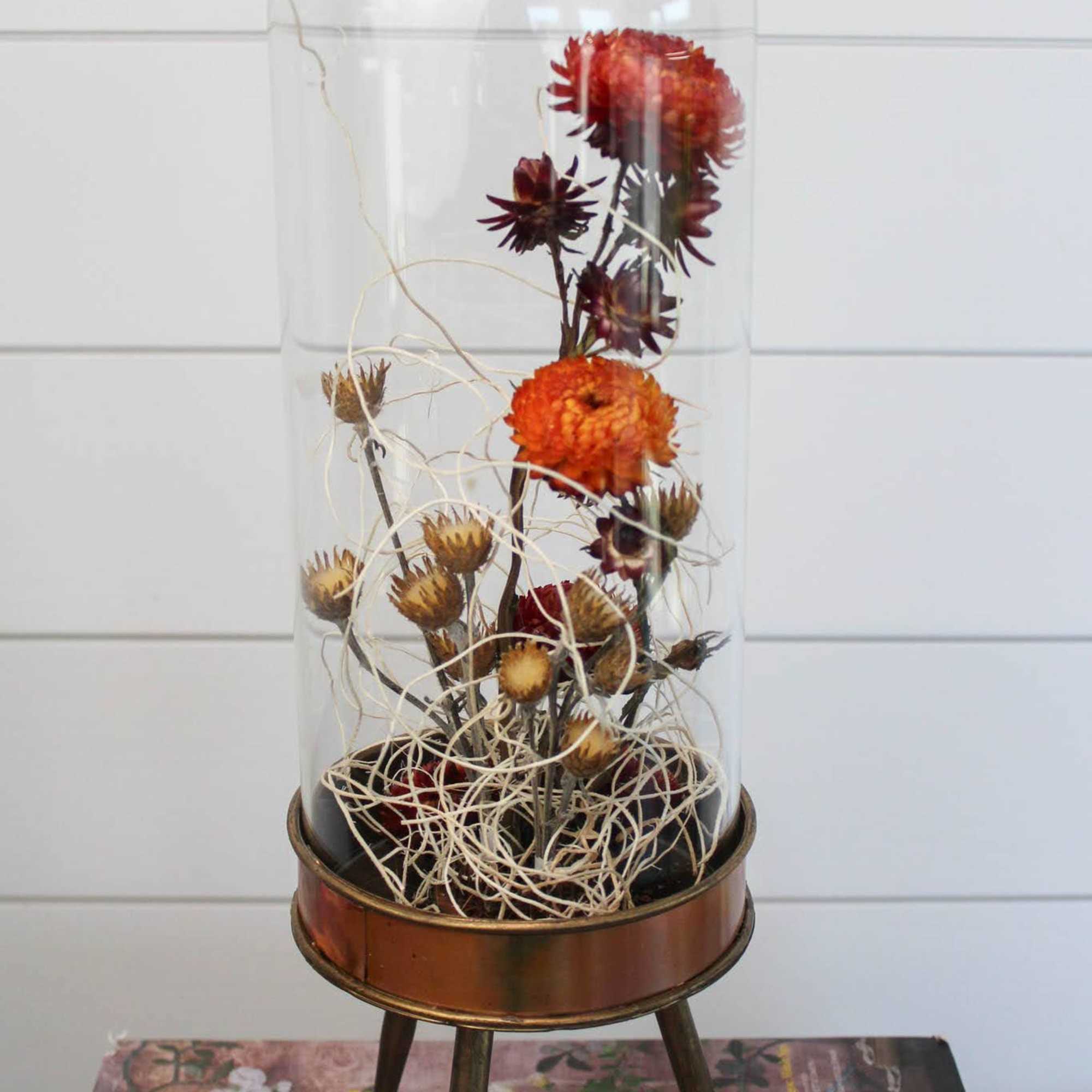 This little world stands alone in it's simple beauty and unique display. This little world stands alone in it's simple beauty and unique display.