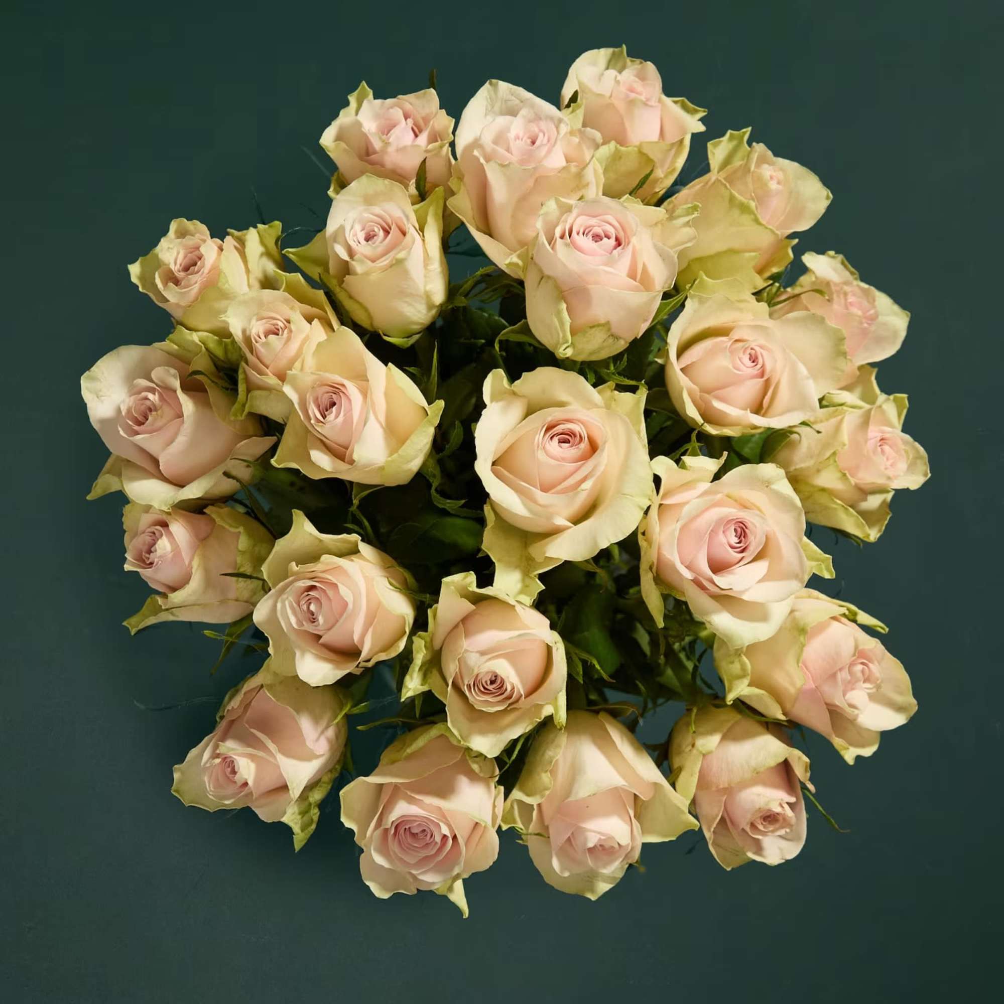 Celebrate the timeless beauty of roses with this stunning bouquet featuring 25