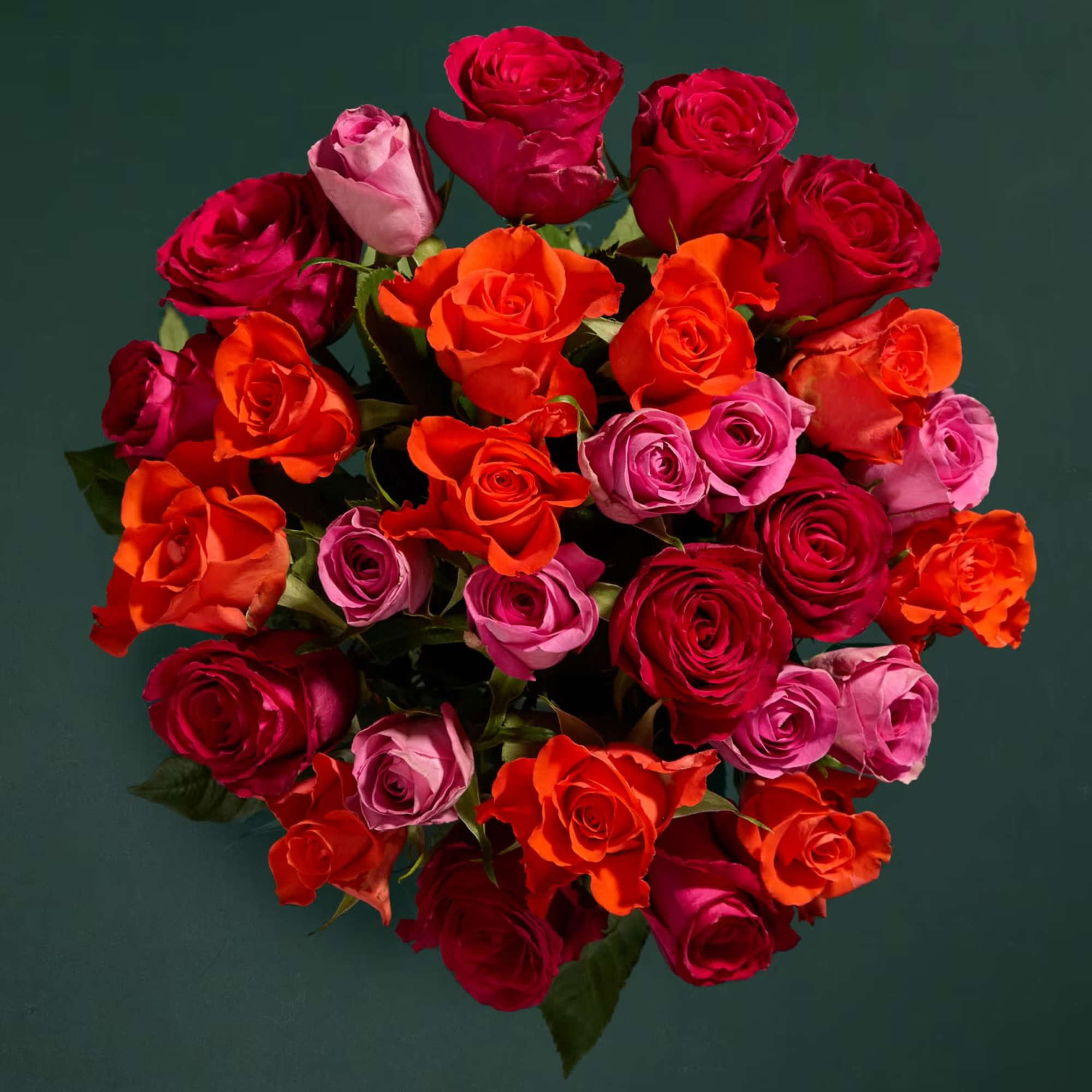 Celebrate the timeless beauty of roses with this stunning bouquet featuring 25