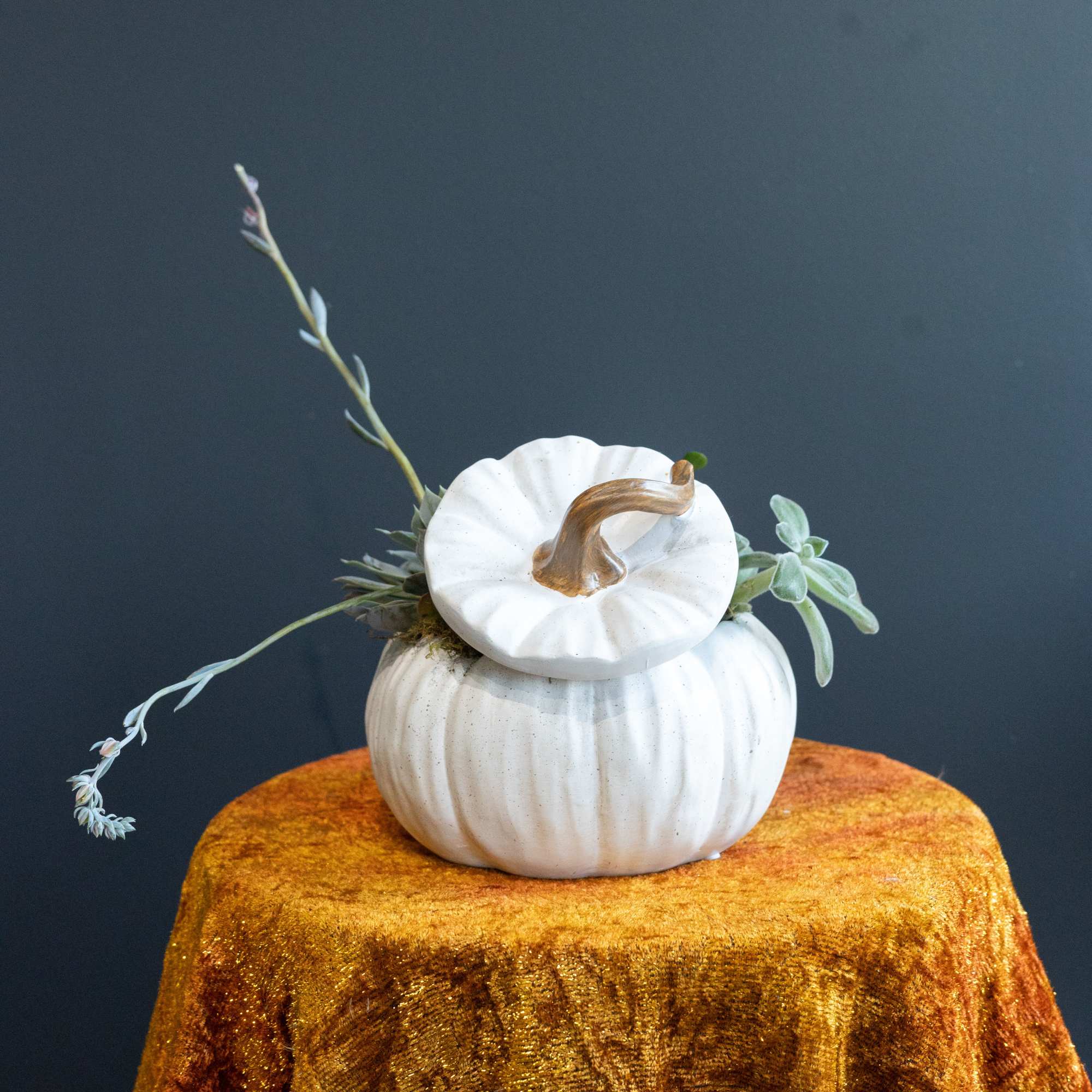 The ceramic white pumpkin is the perfect plant container for fall with