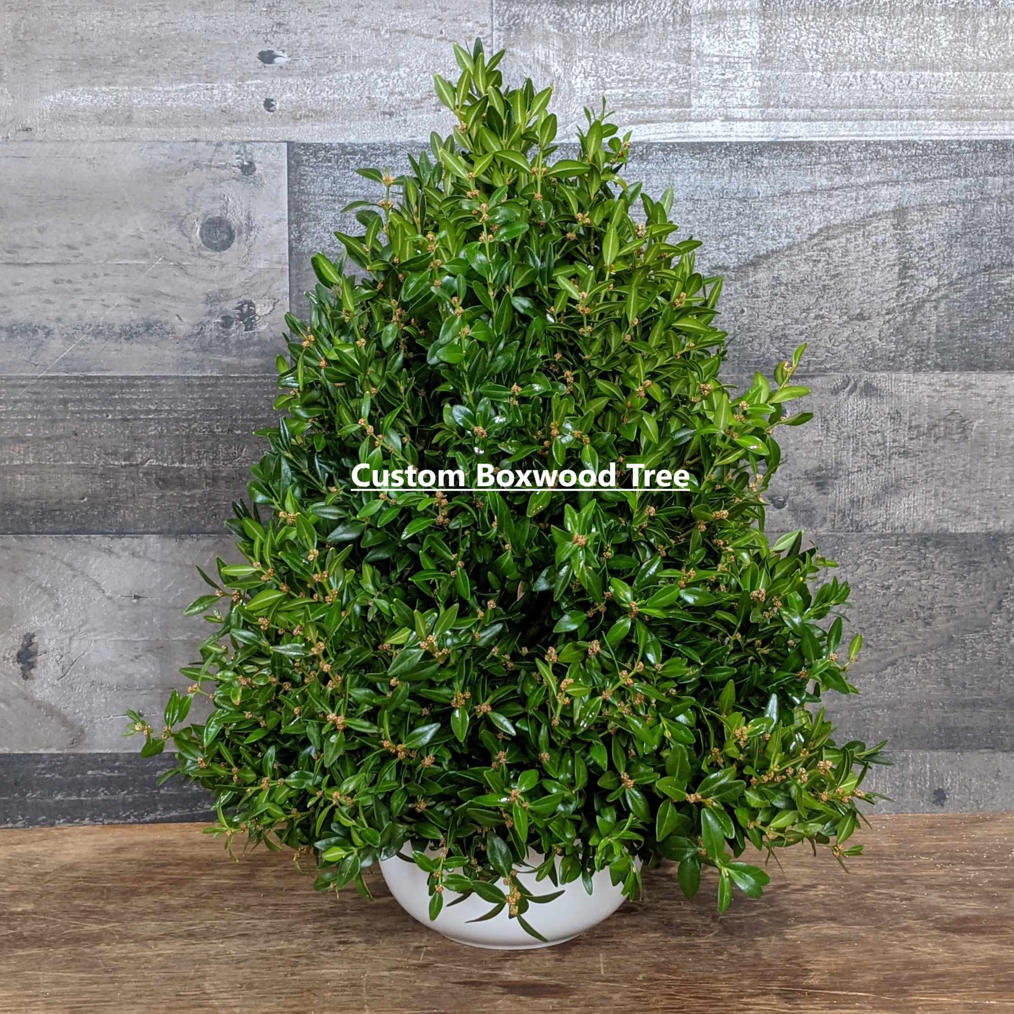 Shown as Standard
Let us know the colors you want (red, burgundy, silver