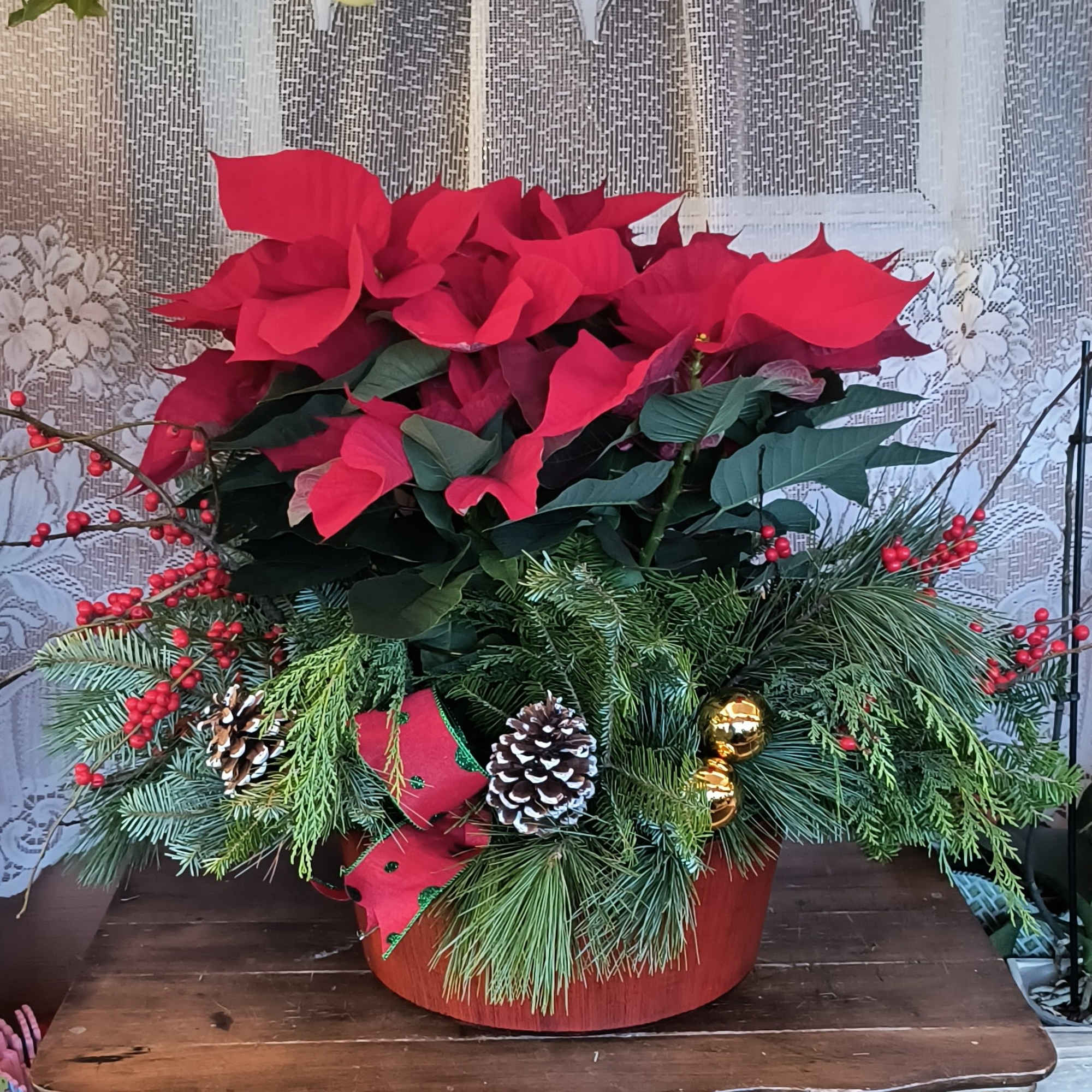 This combo of a live poinsettia plant set within a fresh evergreen