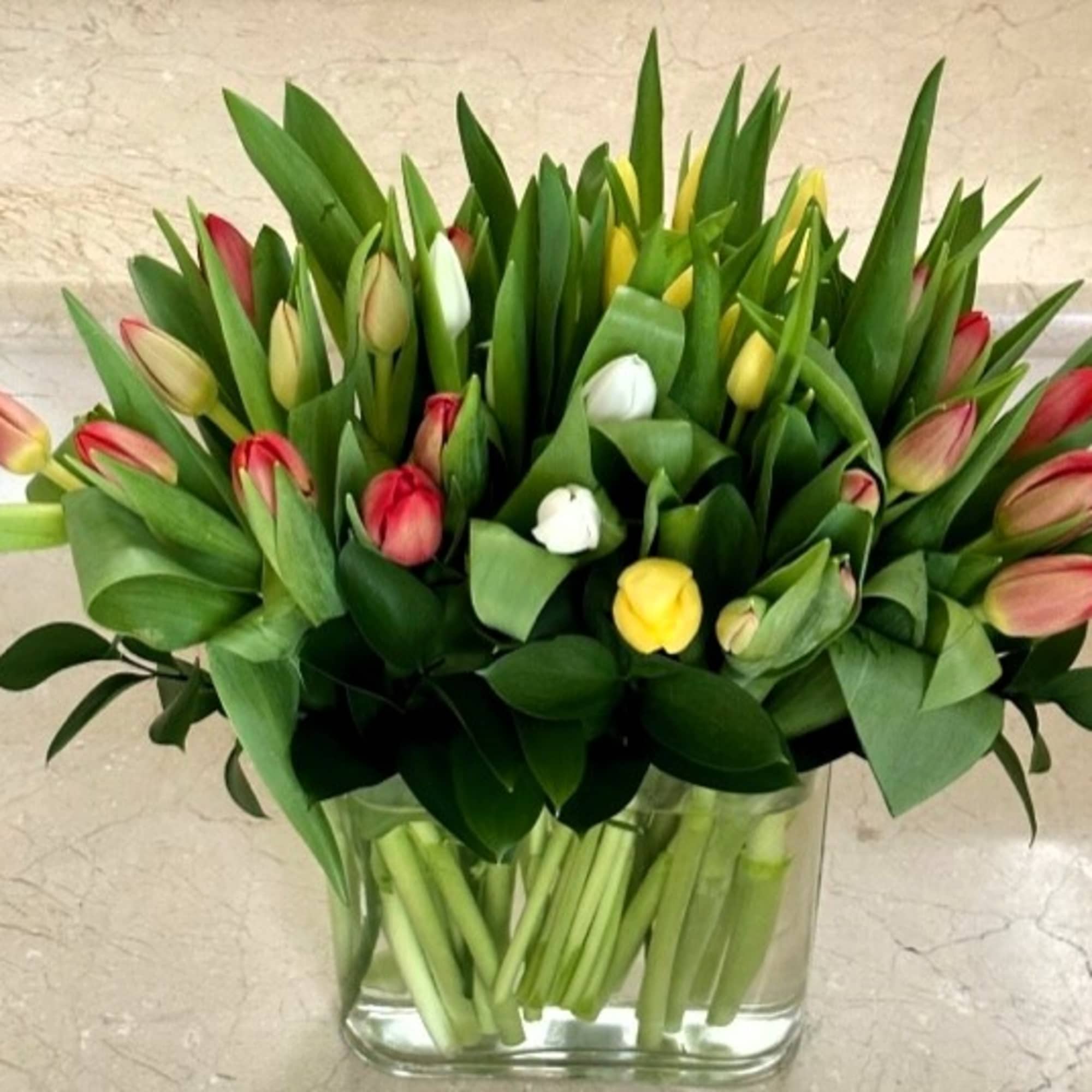 Standard: 30 assorted color color tulips arranged in a Specialty vase.
Deluxe: 40