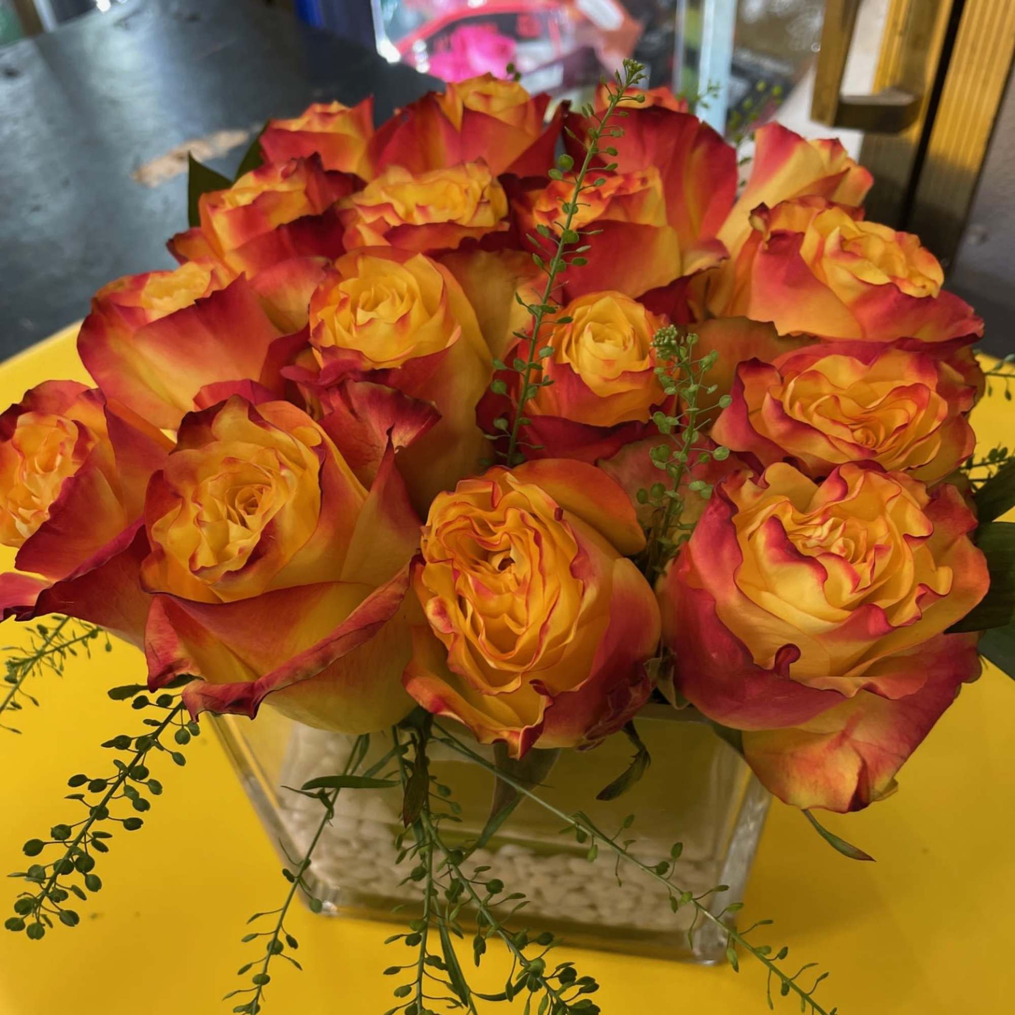 16 Bi Colored Roses arranged perfectly in a 6X6 glass lined cube