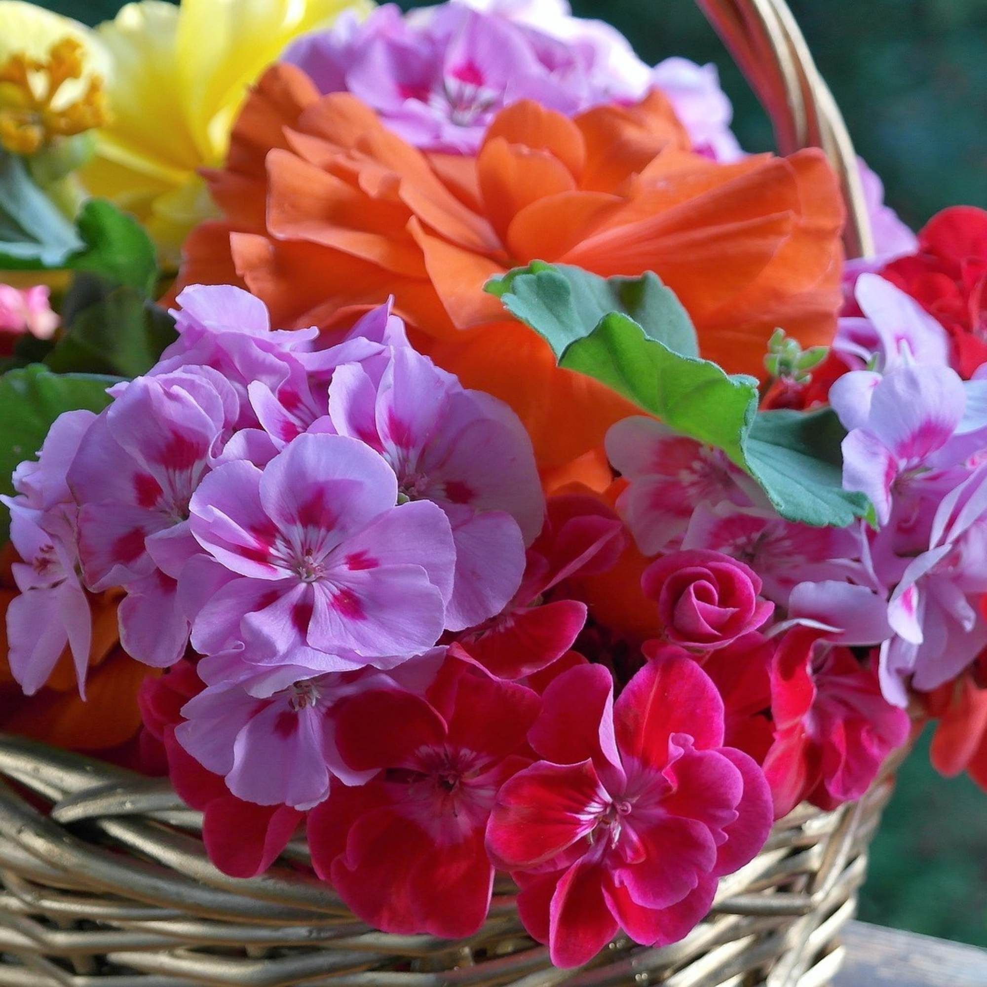 Petals &amp; Blooms Flowers will create a stunningly beautiful, custom, original floral