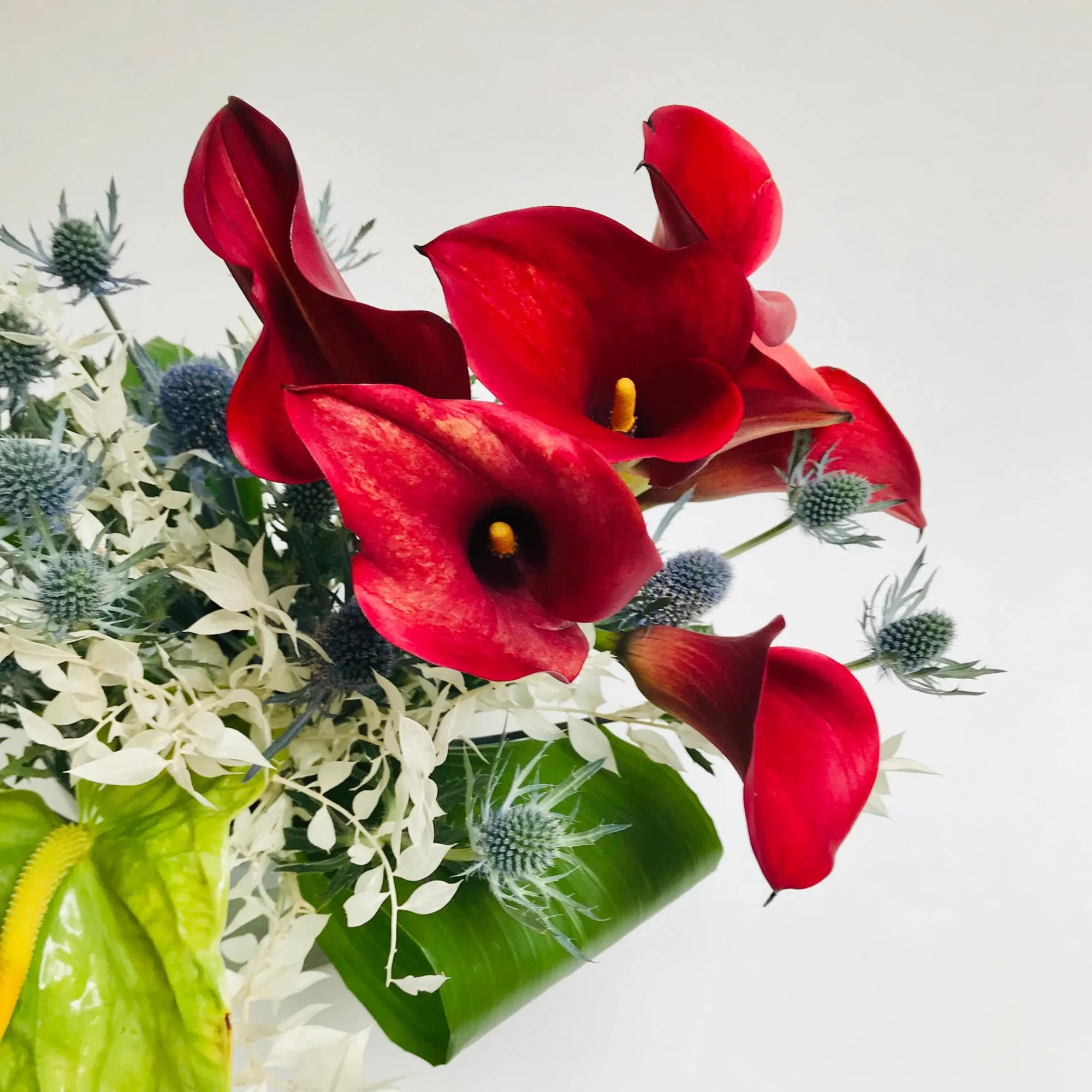 Comprised of bright orange red calla lilies, blues thistle and green Anthurium