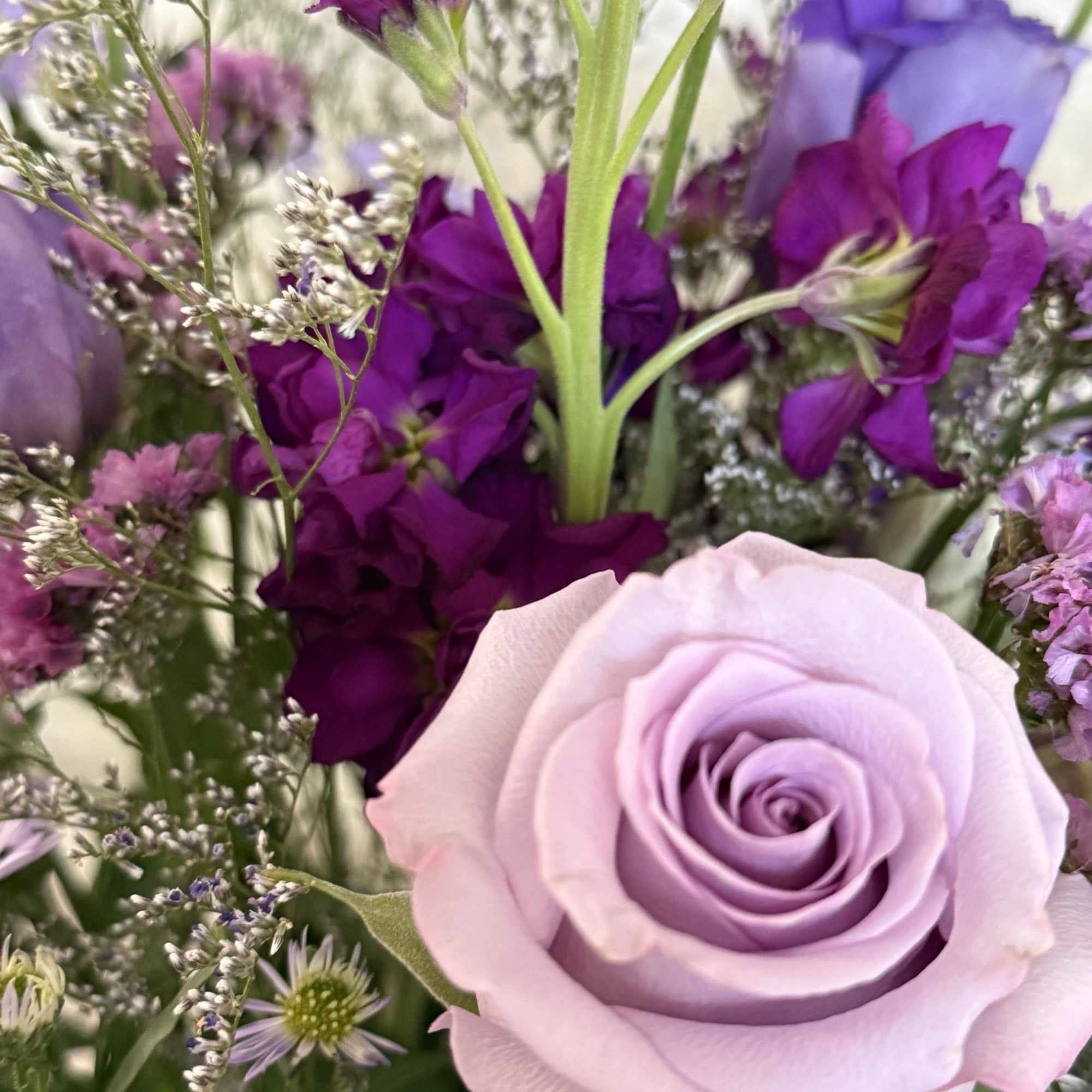 Purple bloom arrangement 
Perfect for a birthday, anniversary or get well. 