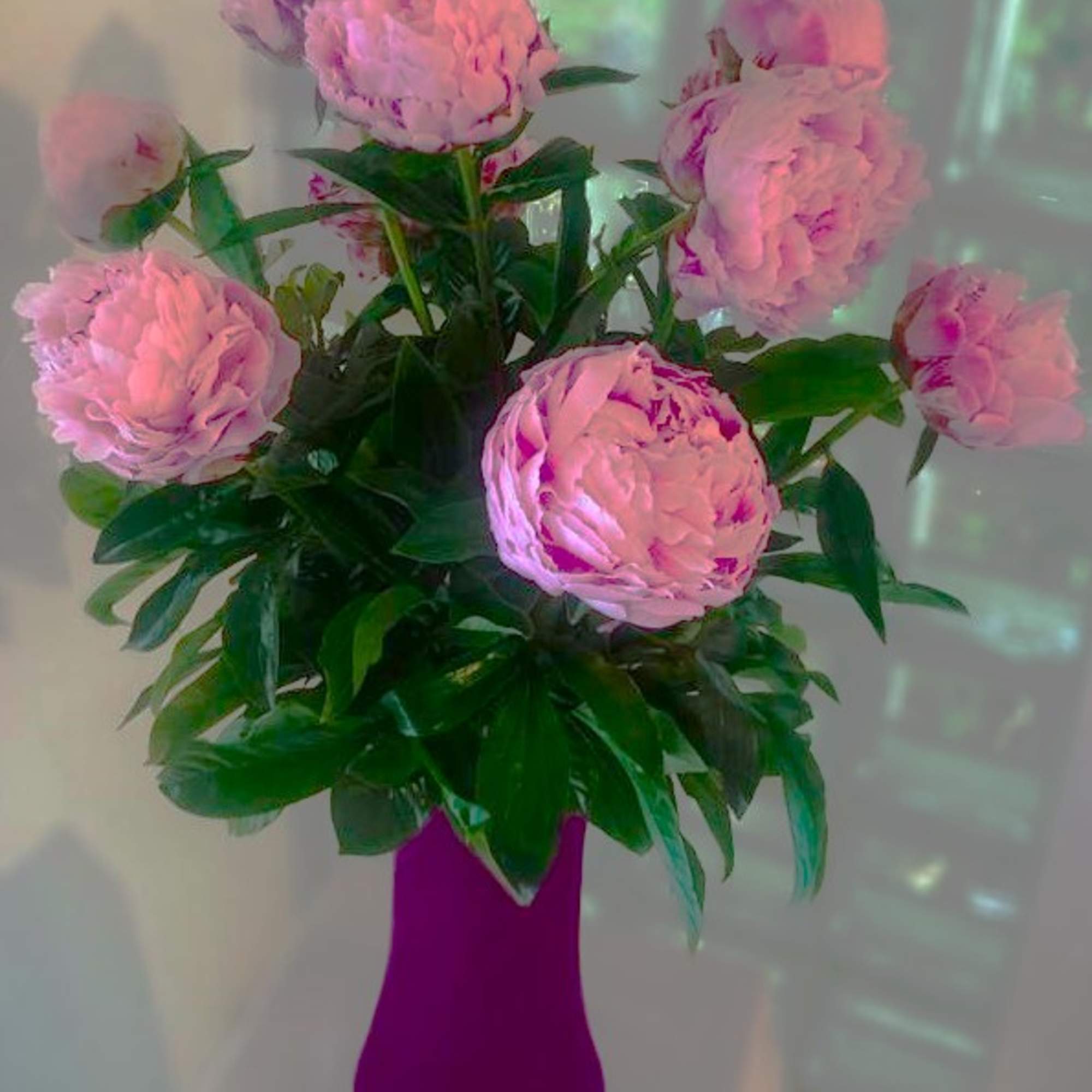 When they think of pink flowers, they think of peonies. Deliciously fragrant