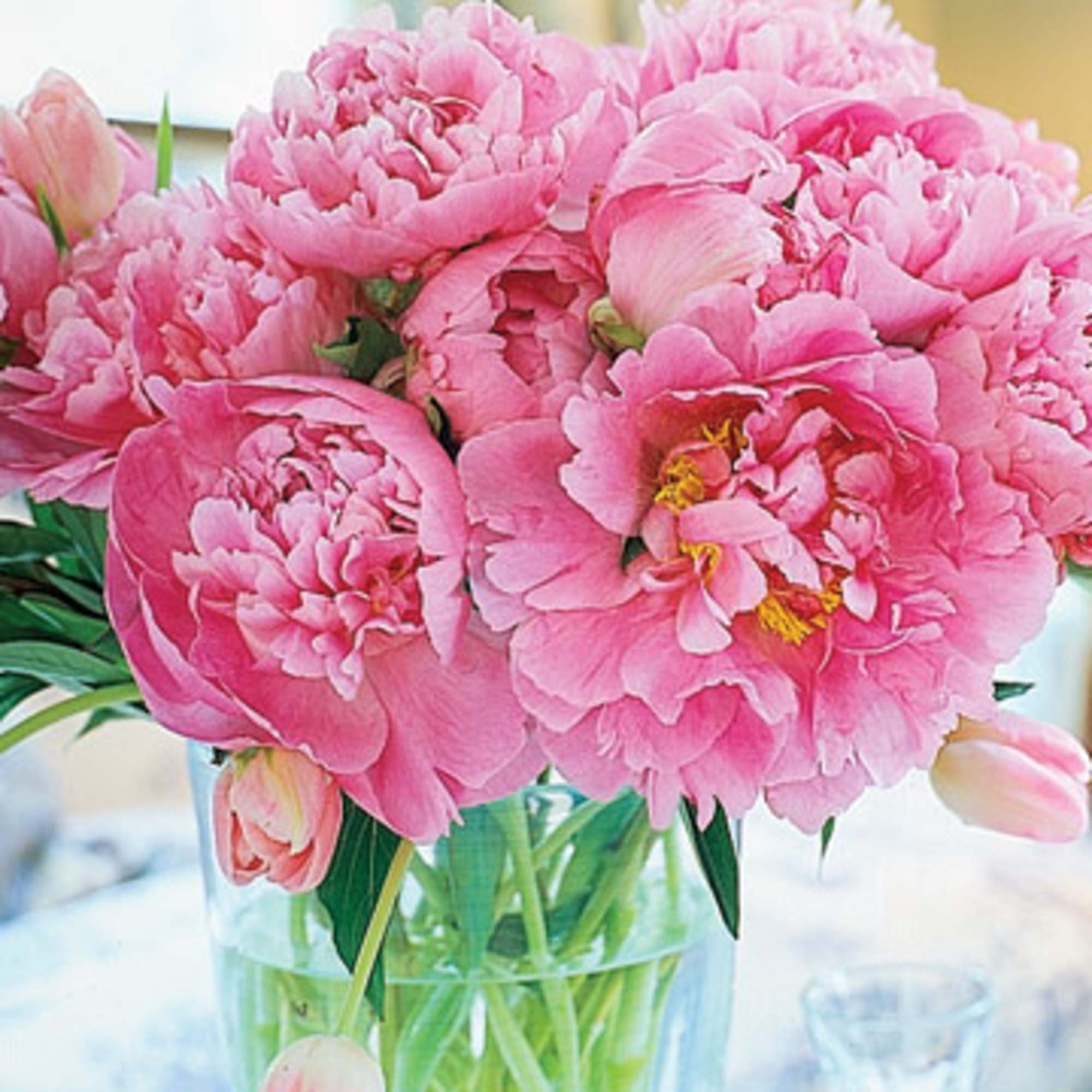 When they think of pink flowers, they think of peonies. Deliciously fragrant