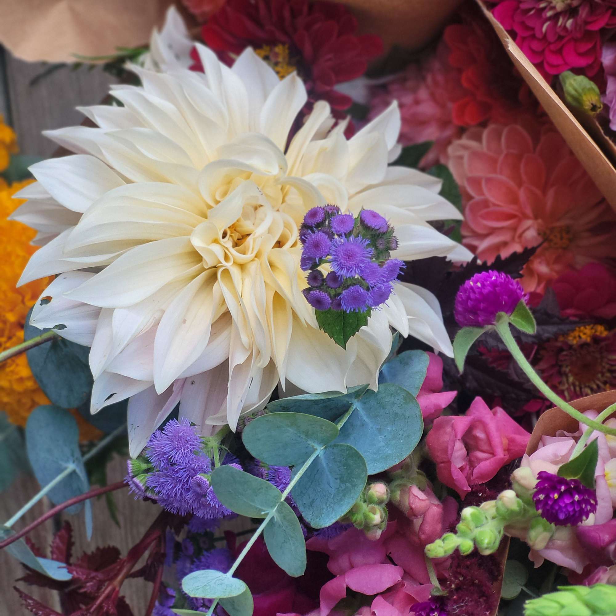 
*NEW* for 2026:  We&#039;ve extented the season by 1 extra month