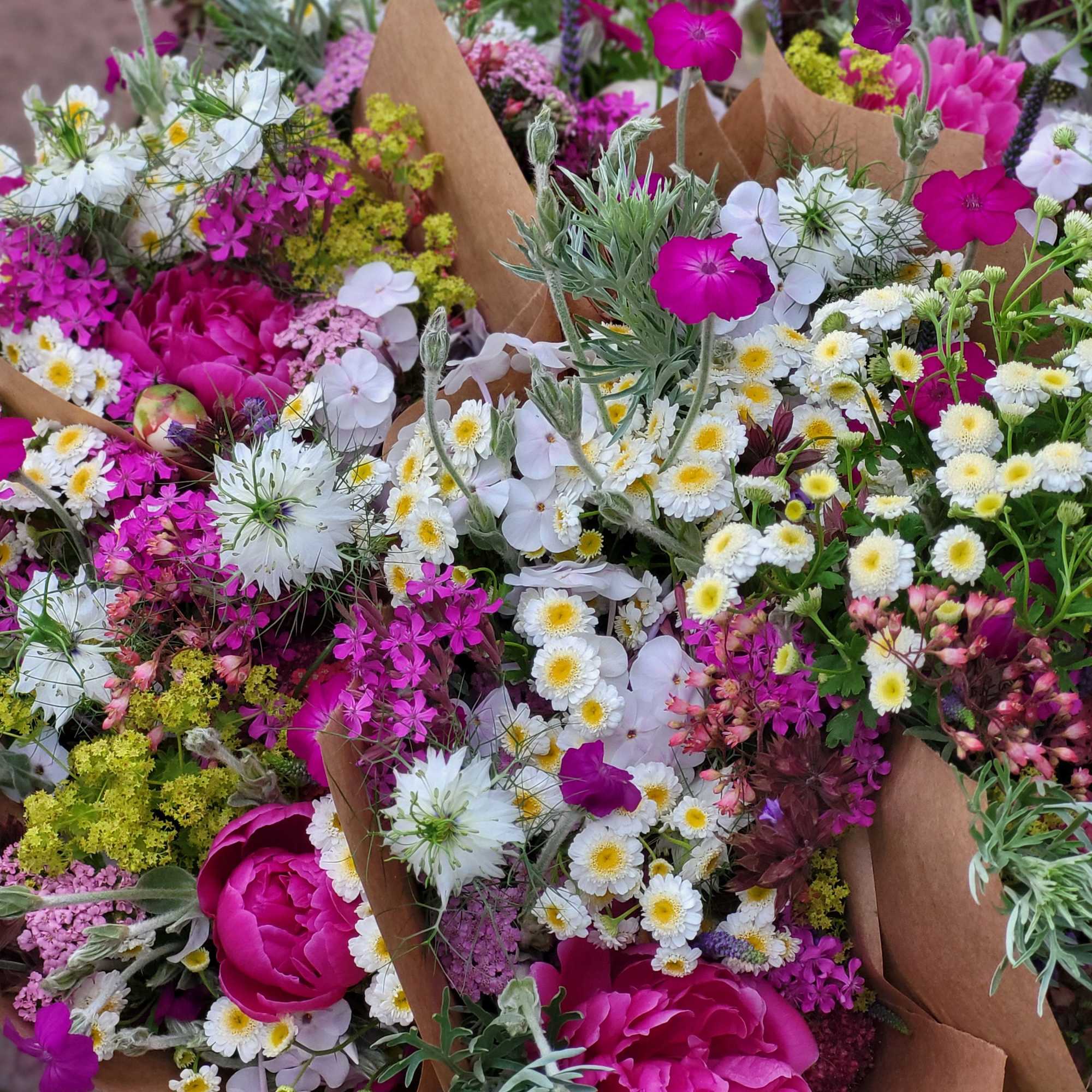 
*NEW* for 2026:  We&#039;ve extented the season by 1 extra month