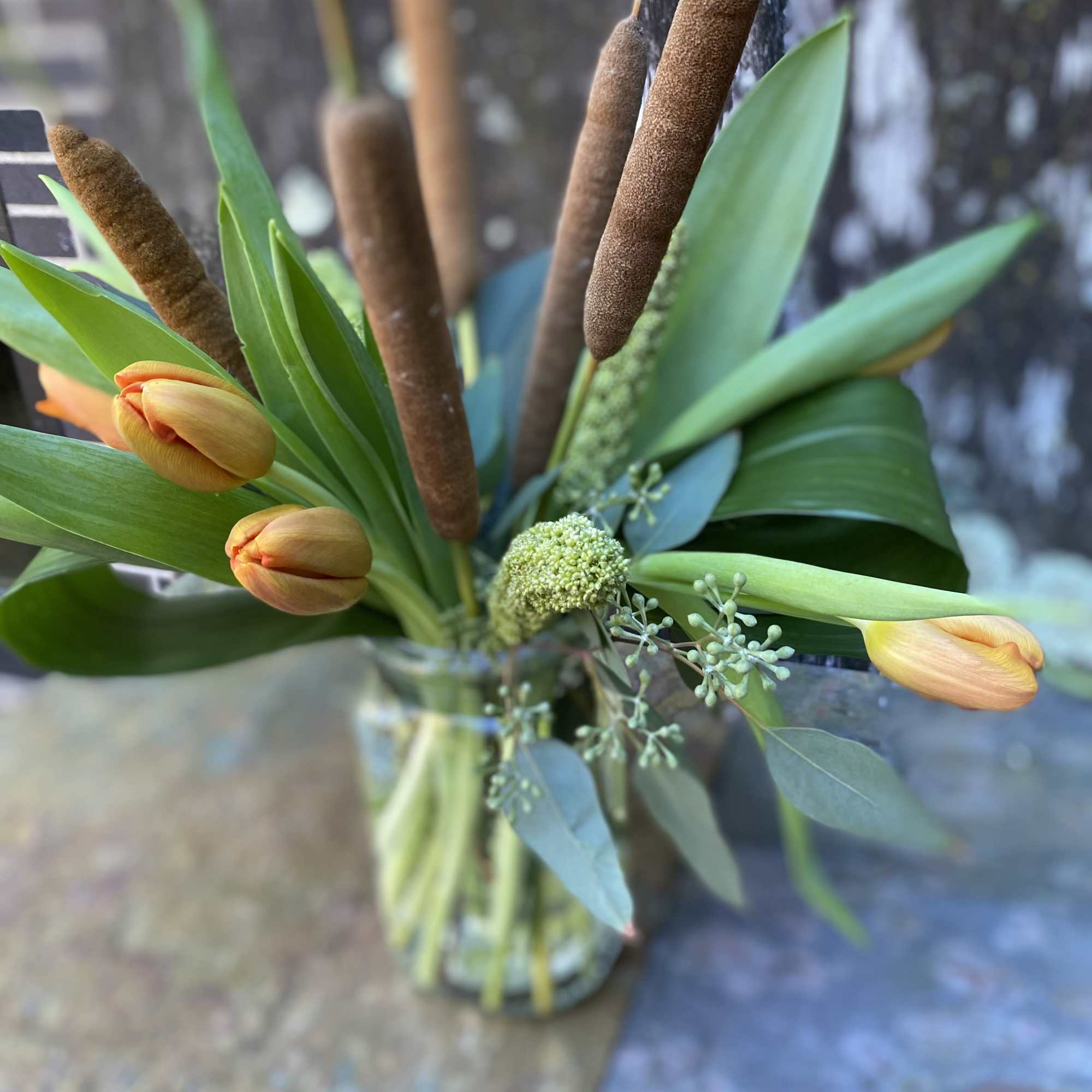 When it&#039;s gone, it&#039;s gone!
This weeks special is a mix of fall