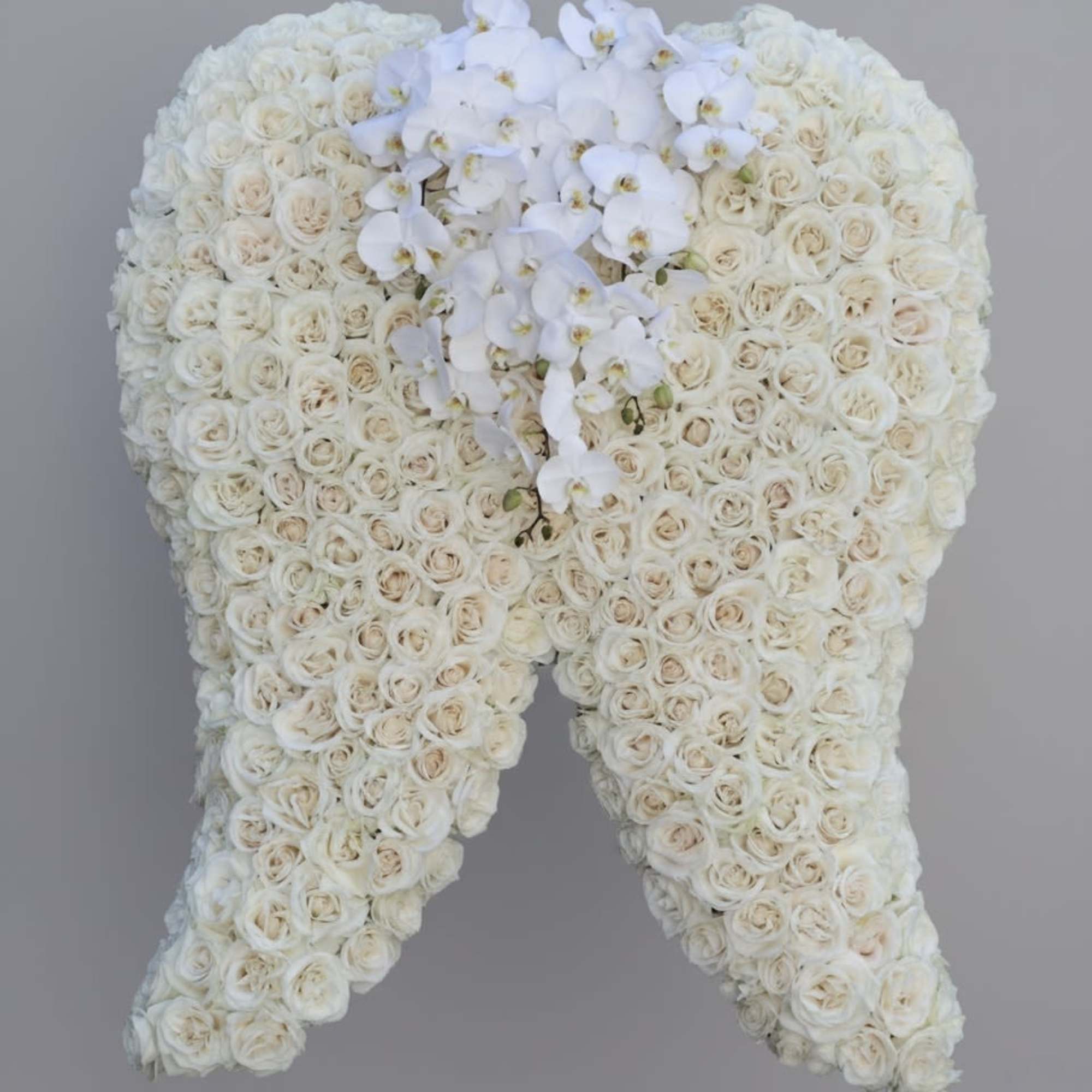 These angel wings in the standard size stand at 3ft x 4ft