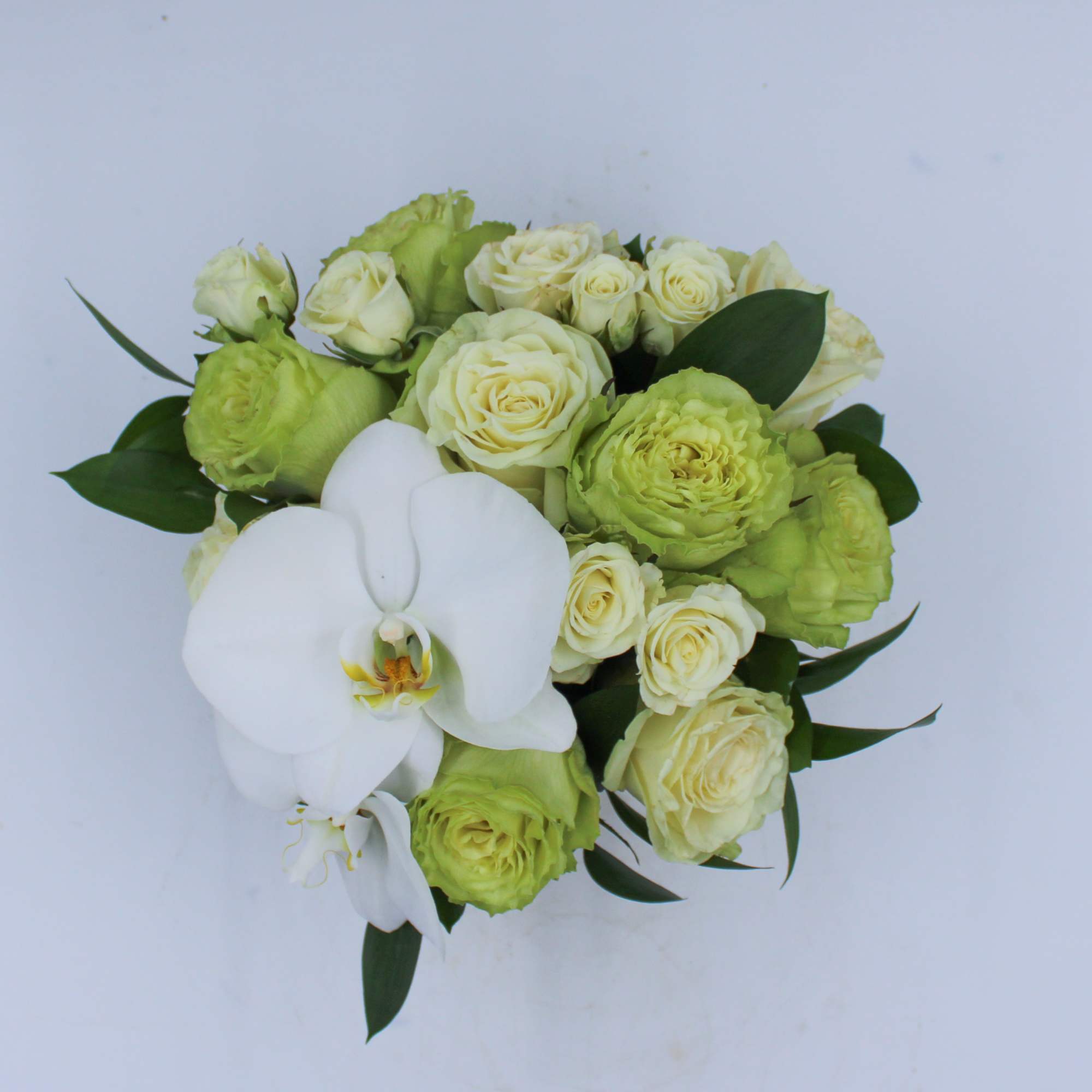 Clare is a petite arrangement of Green and White Roses, White Spray