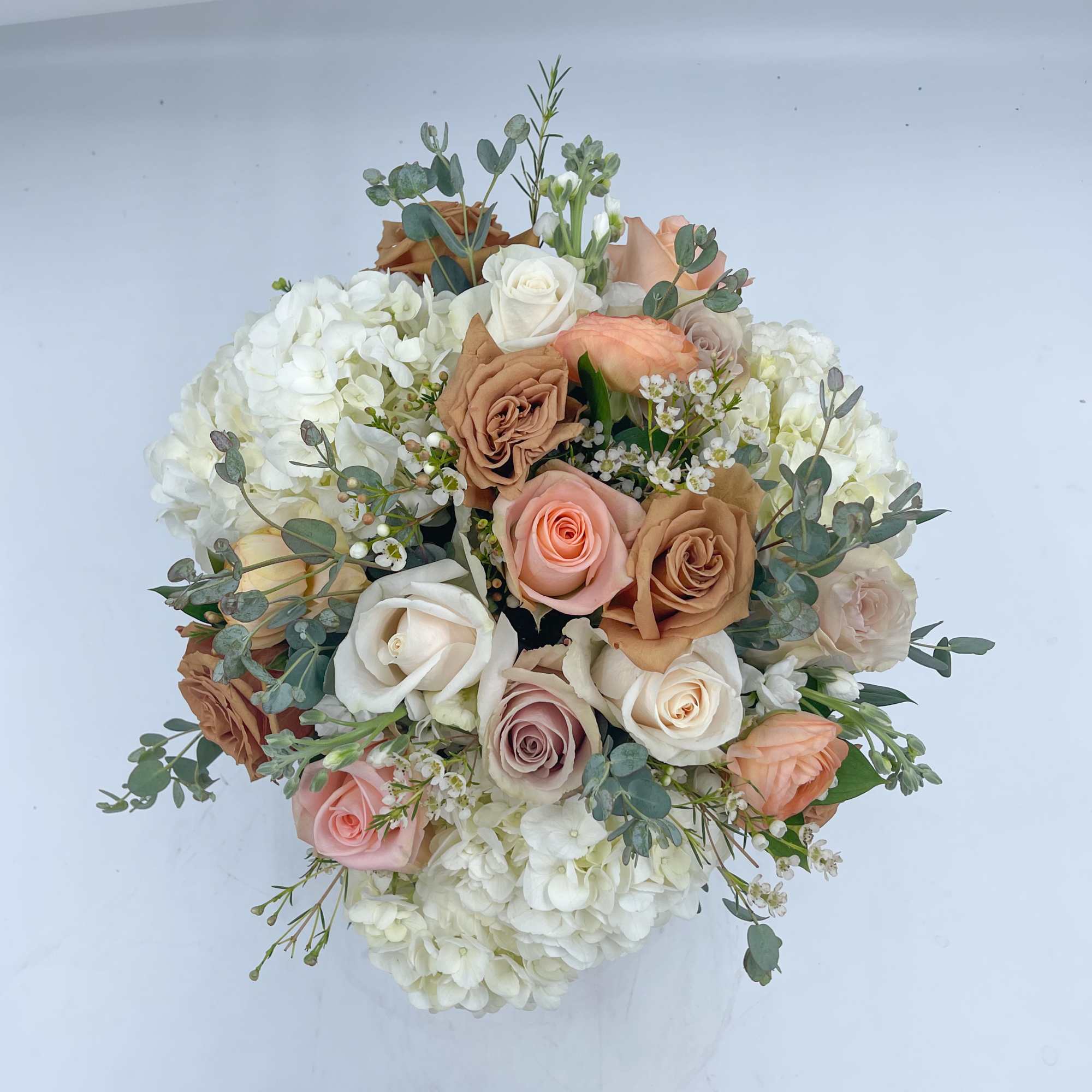 Alba is where the Italian Truffle Festival takes place in the Fall