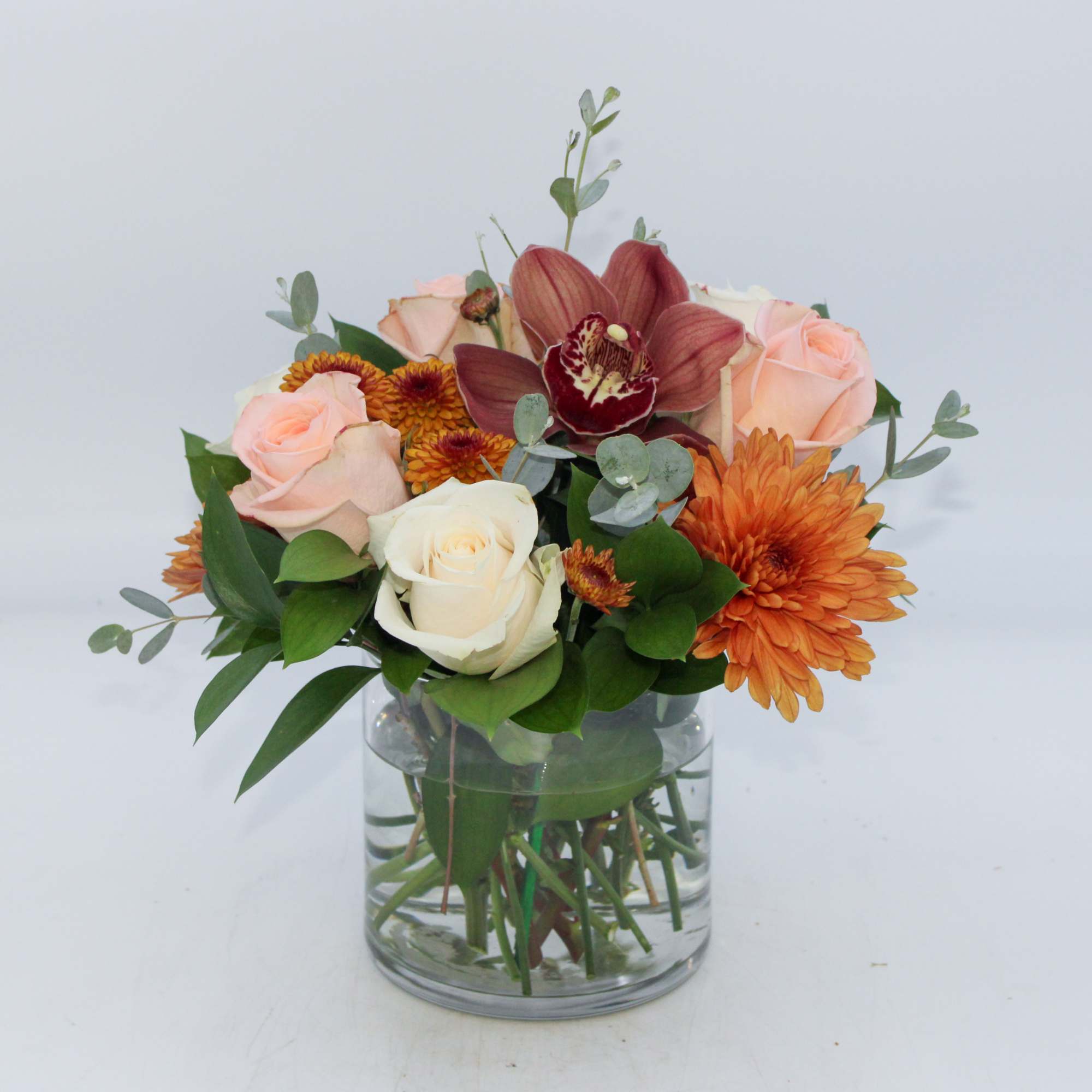 Like a crisp glass of Chardonnay on an autumn evening, Chardonnay is