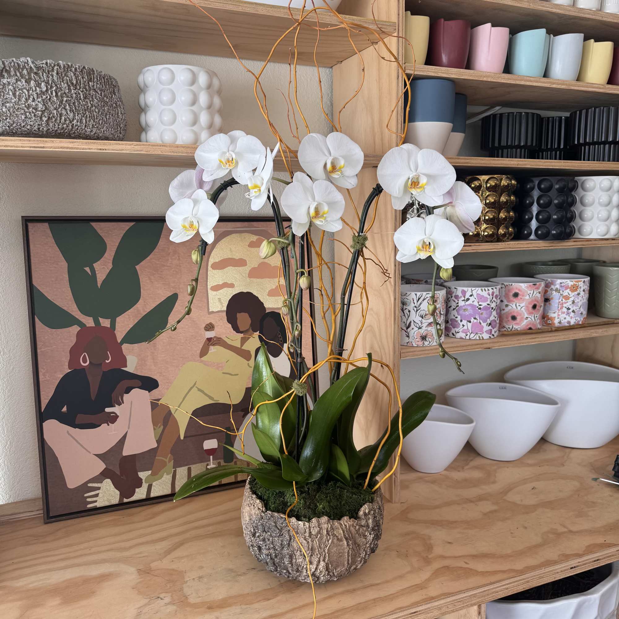 All Arrangements are customizable with different colors of orchids.
Flower size, shape and