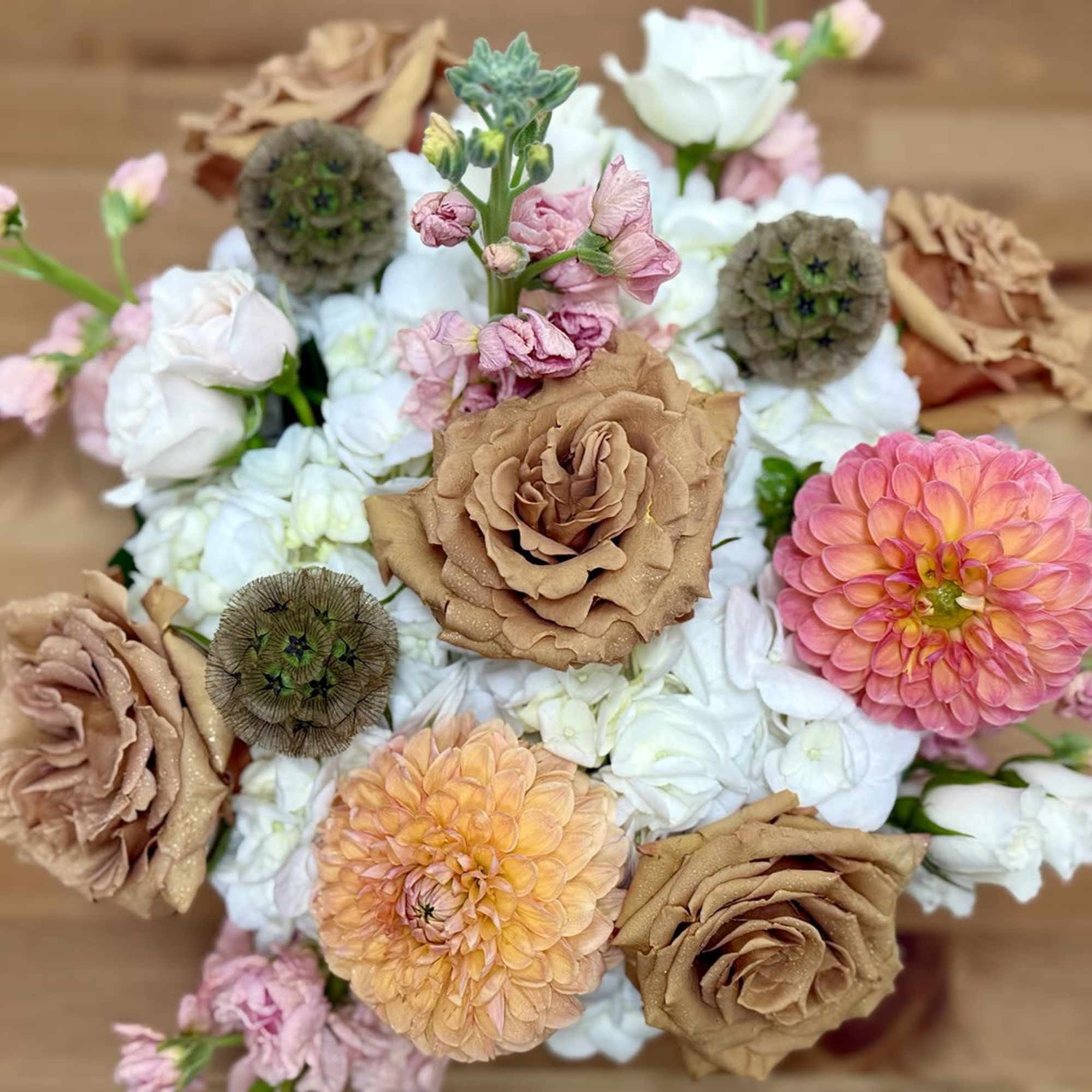 Elevate your space with a stunning mix of Toffee garden roses with
