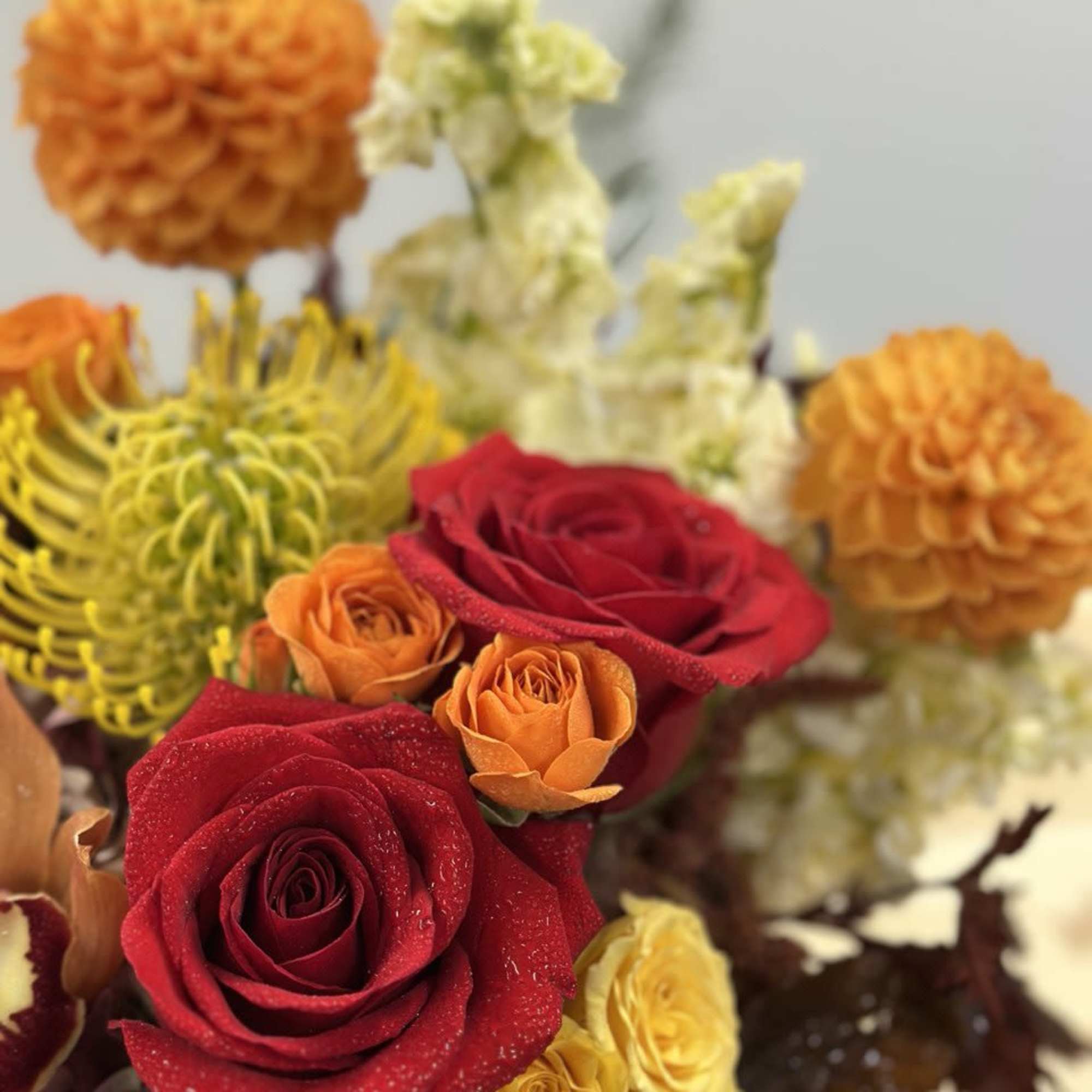Transform your space this fall with a stunning arrangement in a Bellini