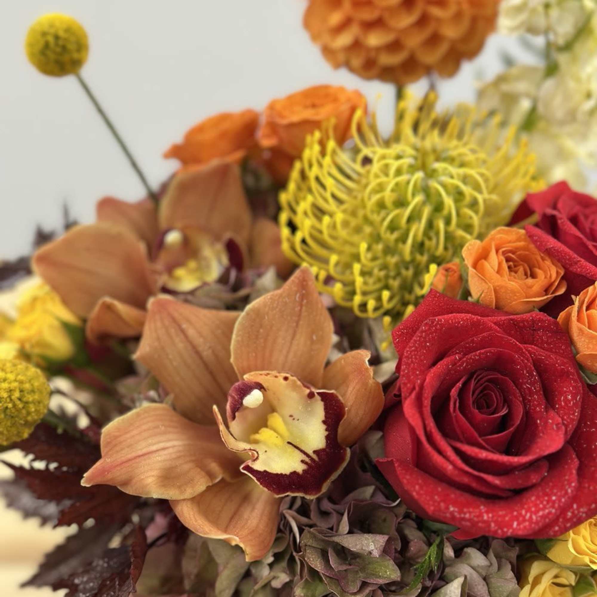 Transform your space this fall with a stunning arrangement in a Bellini