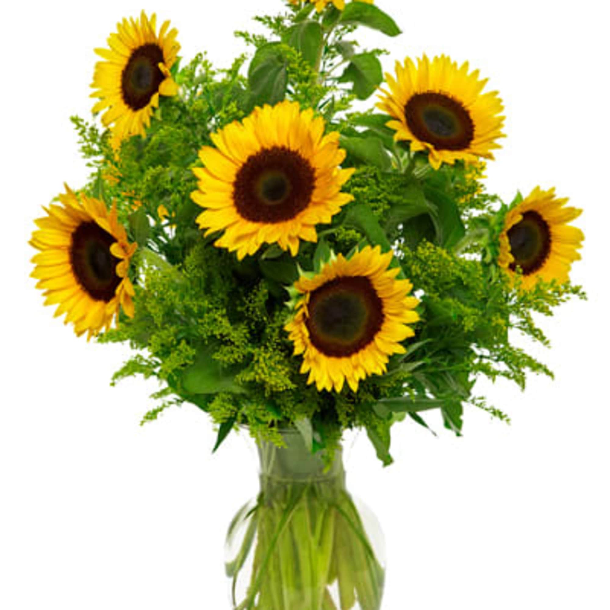 Nothing lights up a room like the golden glow of sunny sunflowers