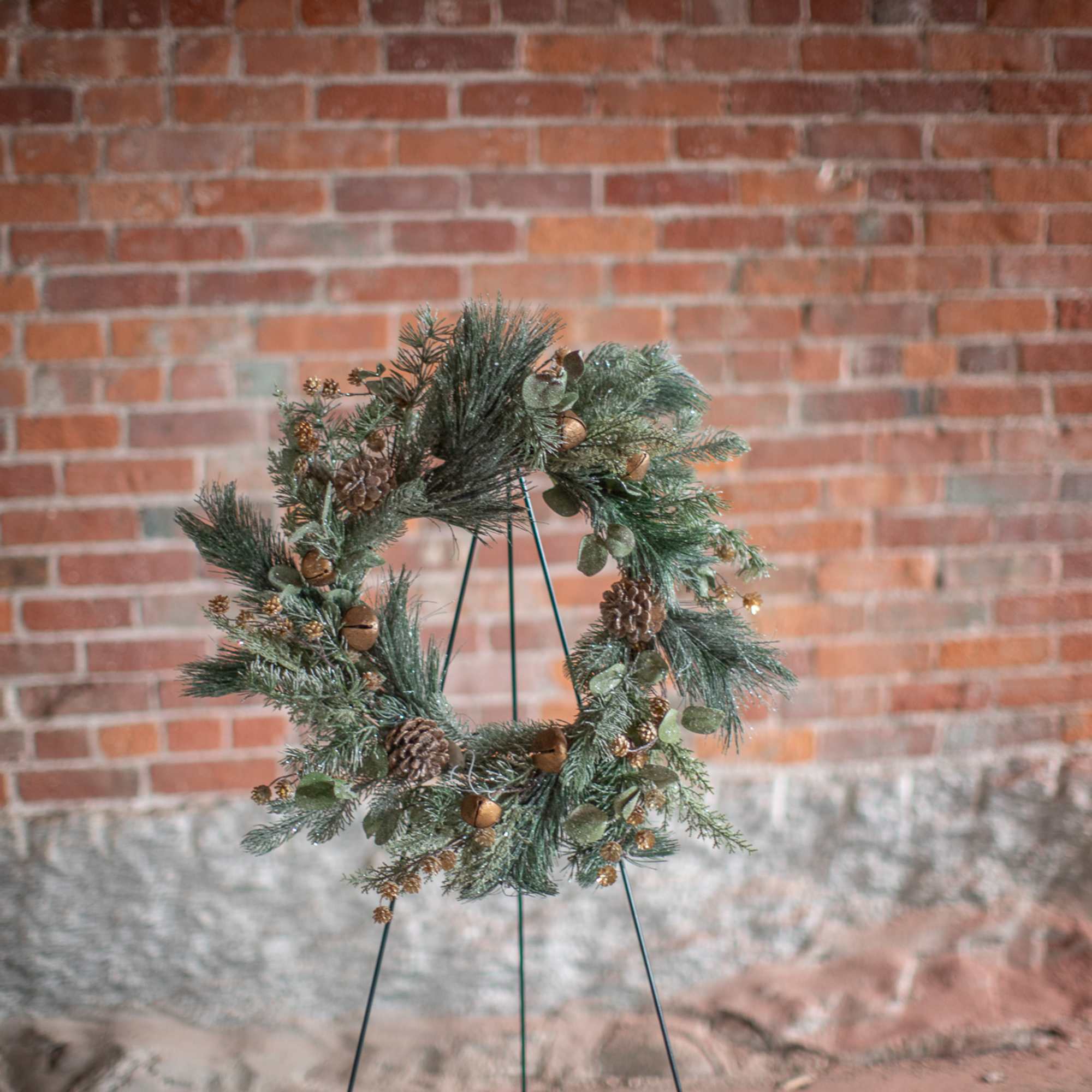 Twinkling glittery winter foliage of pines, silver dollar eucalyptus, and cedar varieties