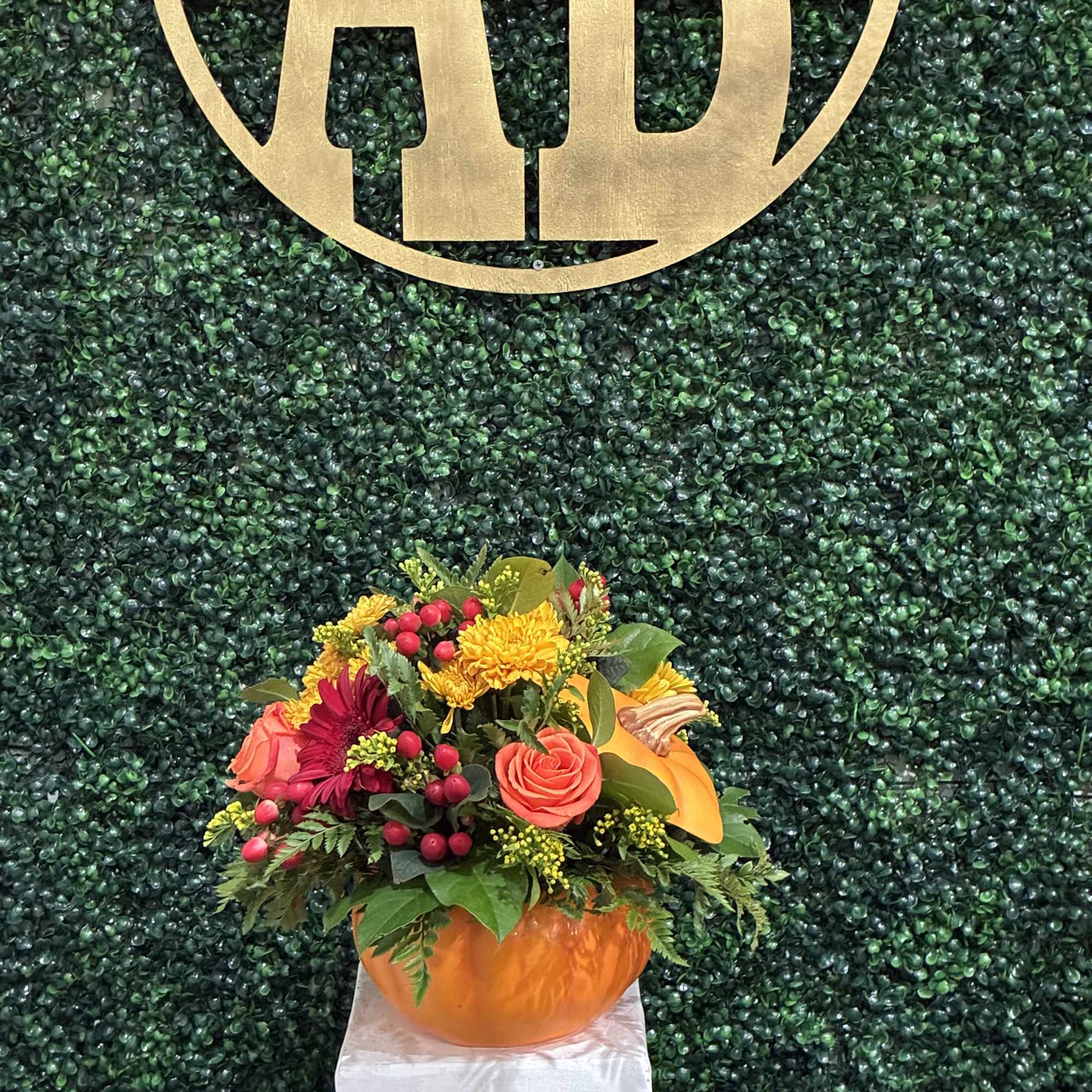 Celebrate the cozy spirit of autumn with our Pumpkin Spice &amp; Everything