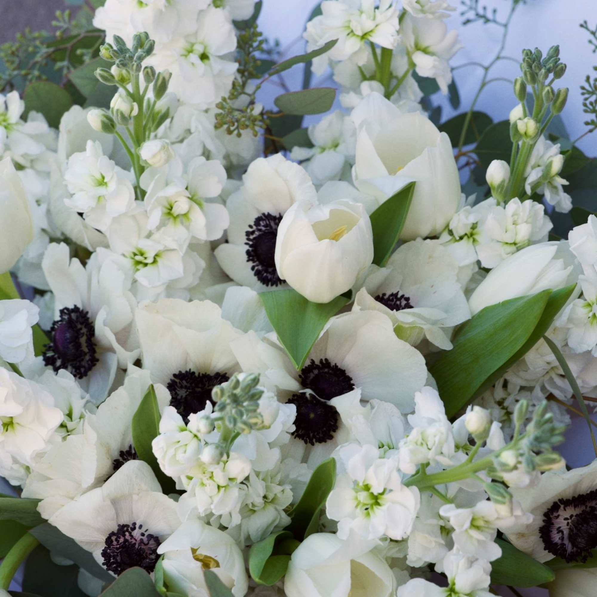 A symphony of white and shadow, this bouquet evokes the quiet drama