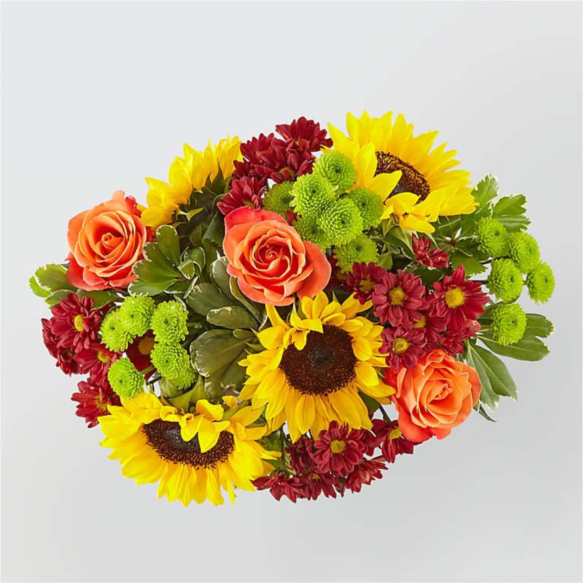 Delight your friends and family with an assortment of bright Autumn colors