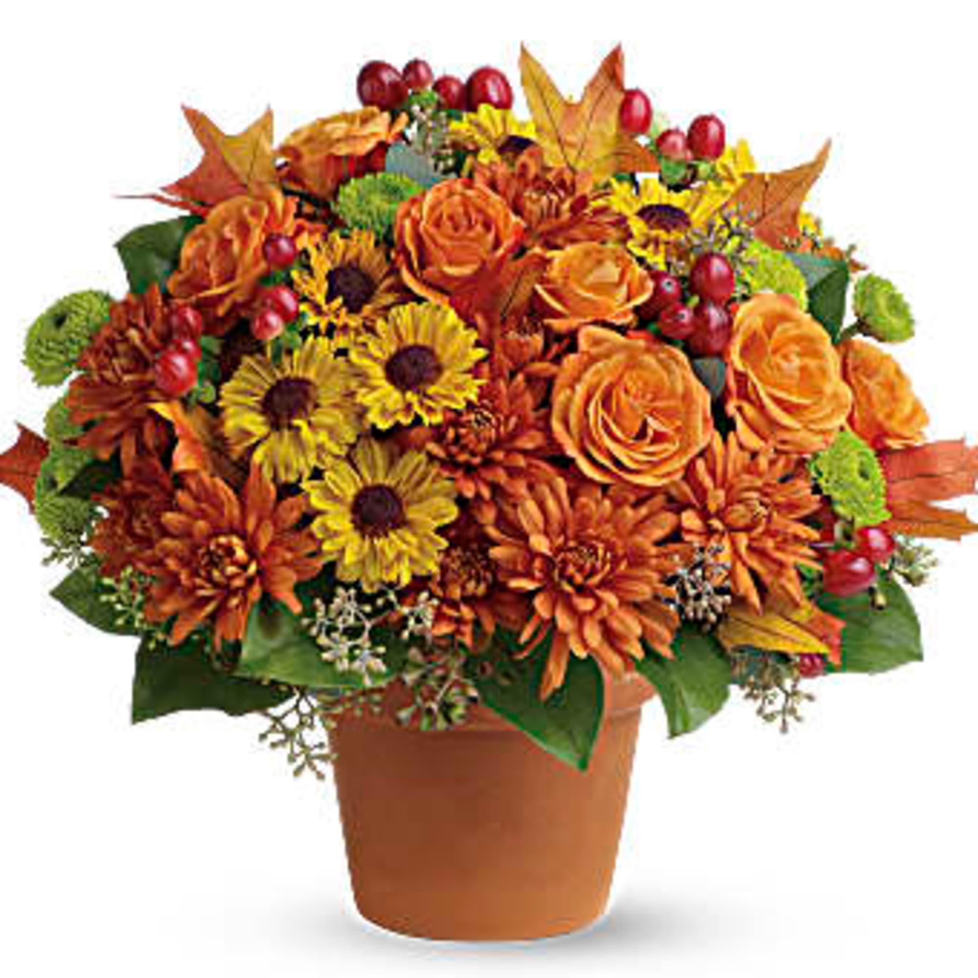 Chrysanthemums in autumnal colors of yellow, bronze and green - set off