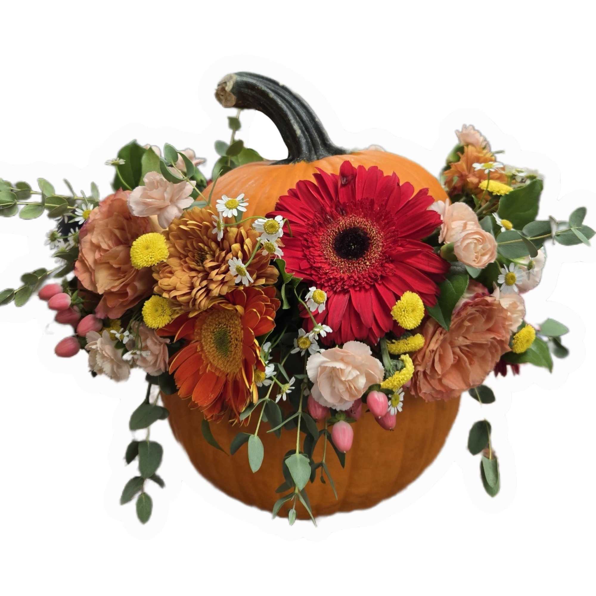 Pumkin flowers arrangement.

A flower arrangement in a real pumpkin will add a